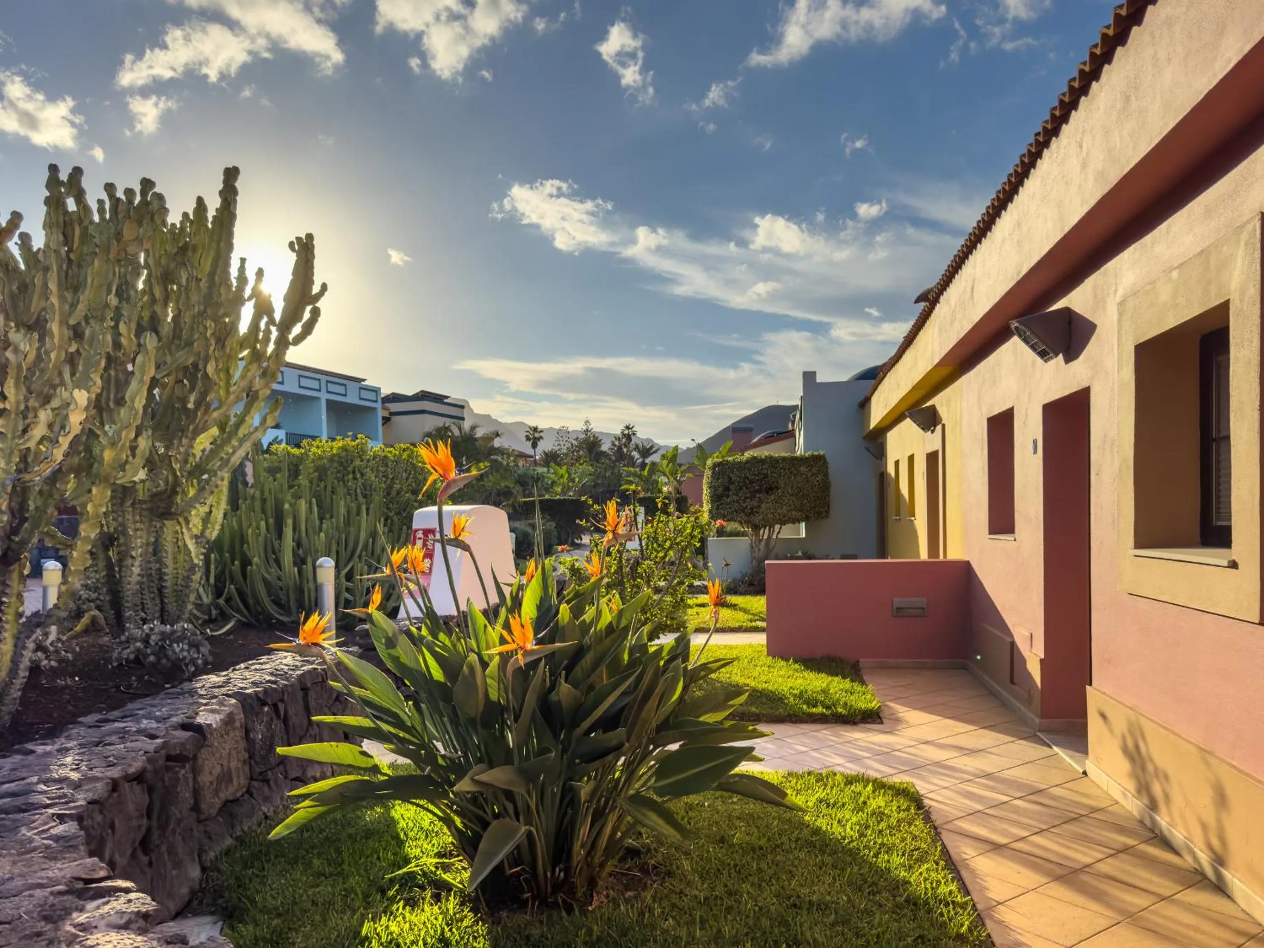 Garden in Luz Del Mar