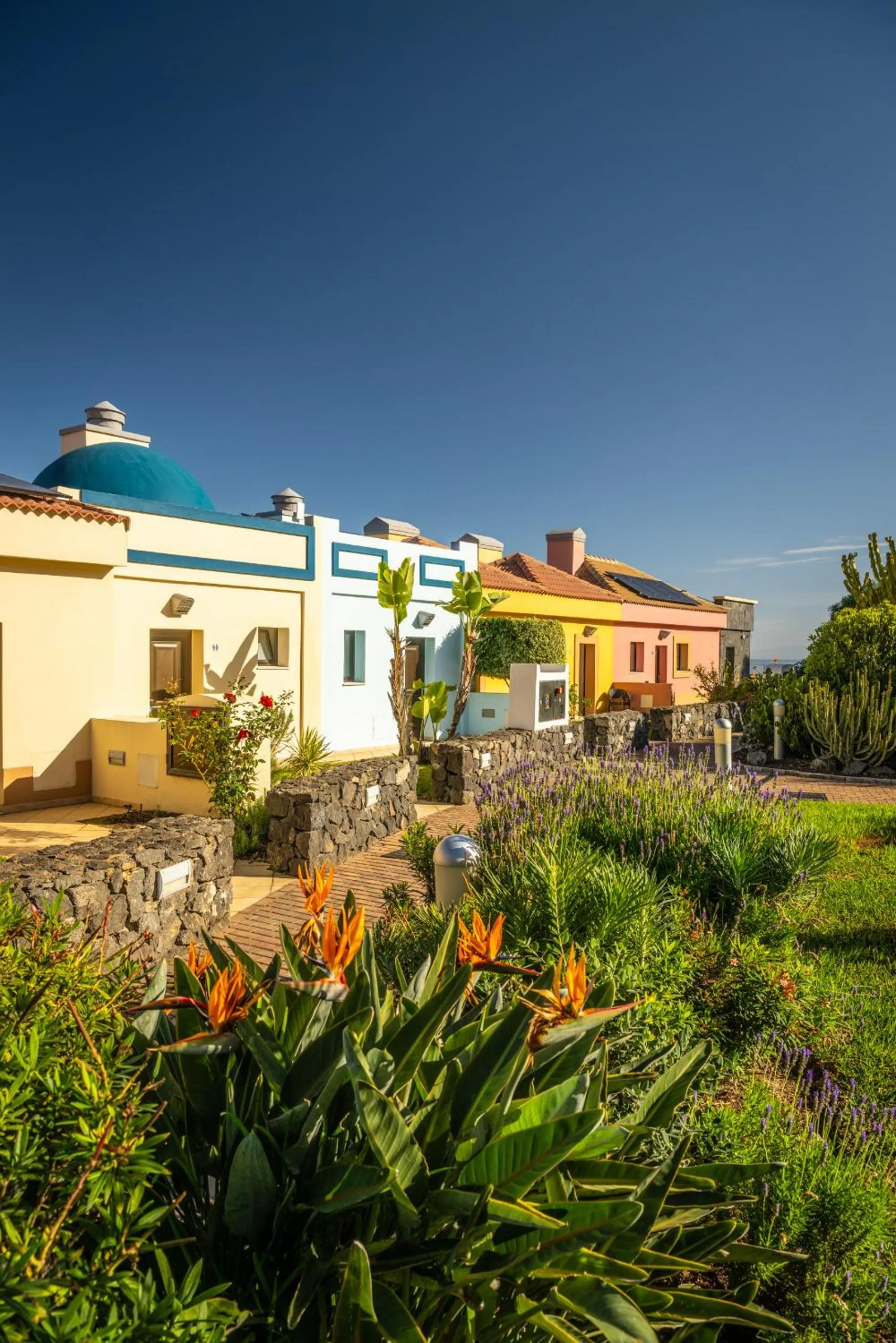 Garden view in Luz Del Mar