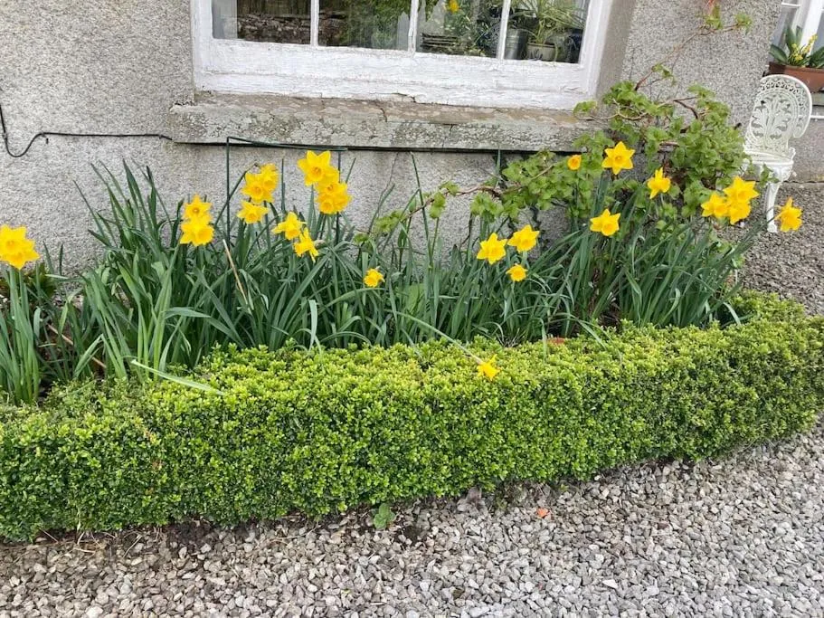 Spring in Top Floor at Cantref House