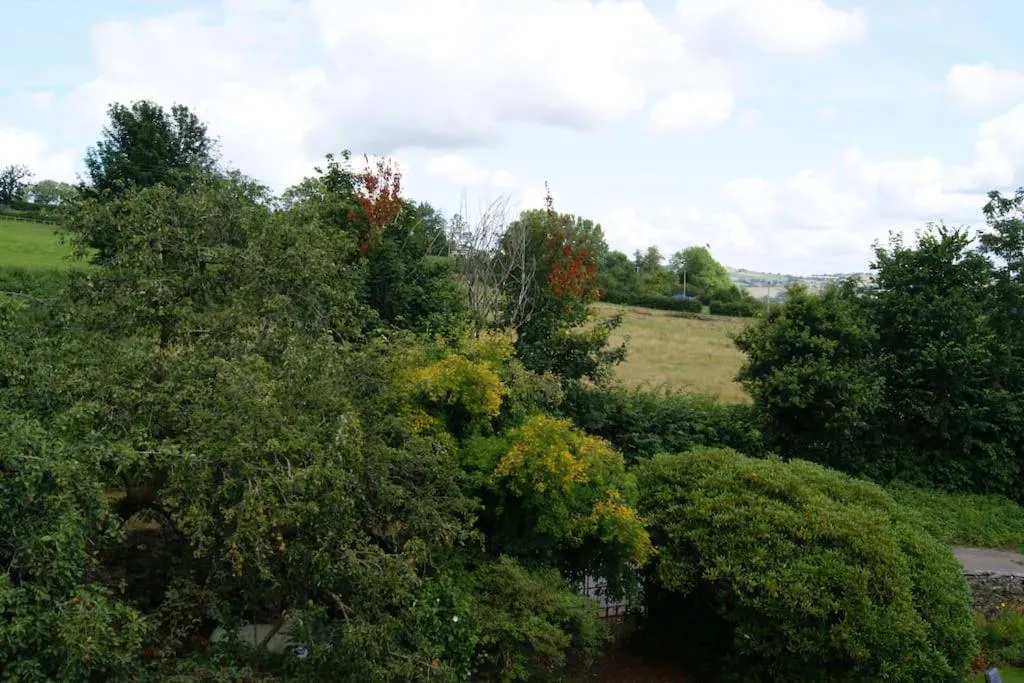 Top Floor at Cantref House