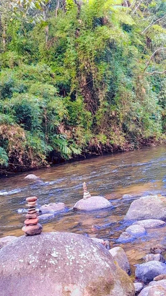 Pousada Bosque do Visconde