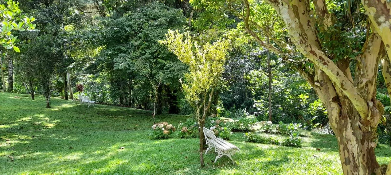 Natural landscape in Pousada Bosque do Visconde