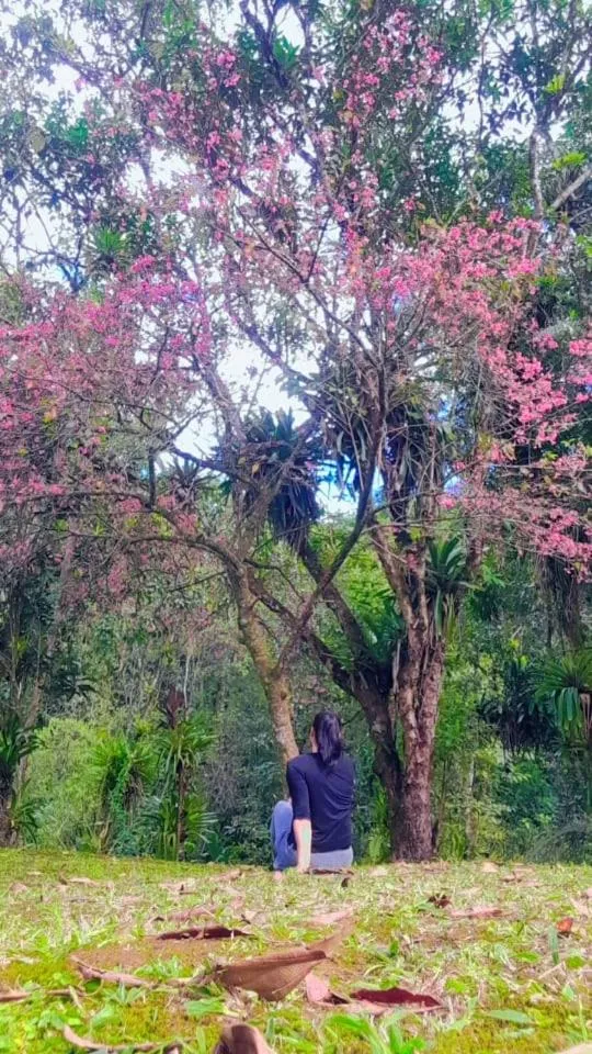 Pousada Bosque do Visconde