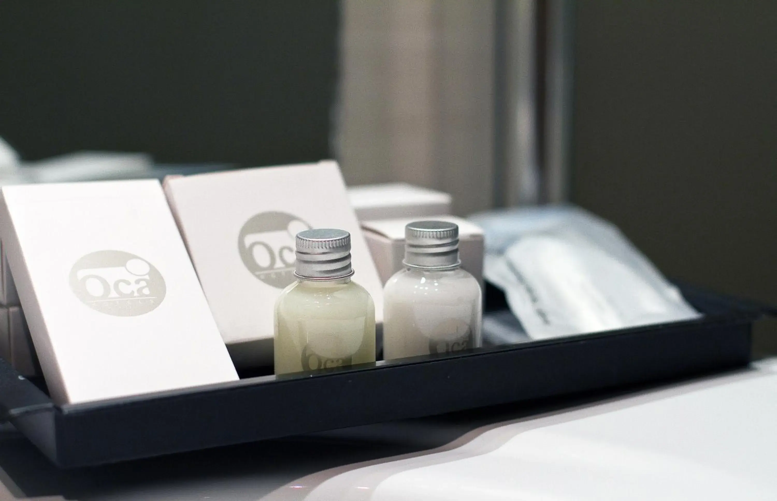 Double Room with Extra Bed in Oca Palacio De La Llorea Hotel & Spa Double Room with Extra Bed in Oca Palacio De La Llorea Hotel & Spa