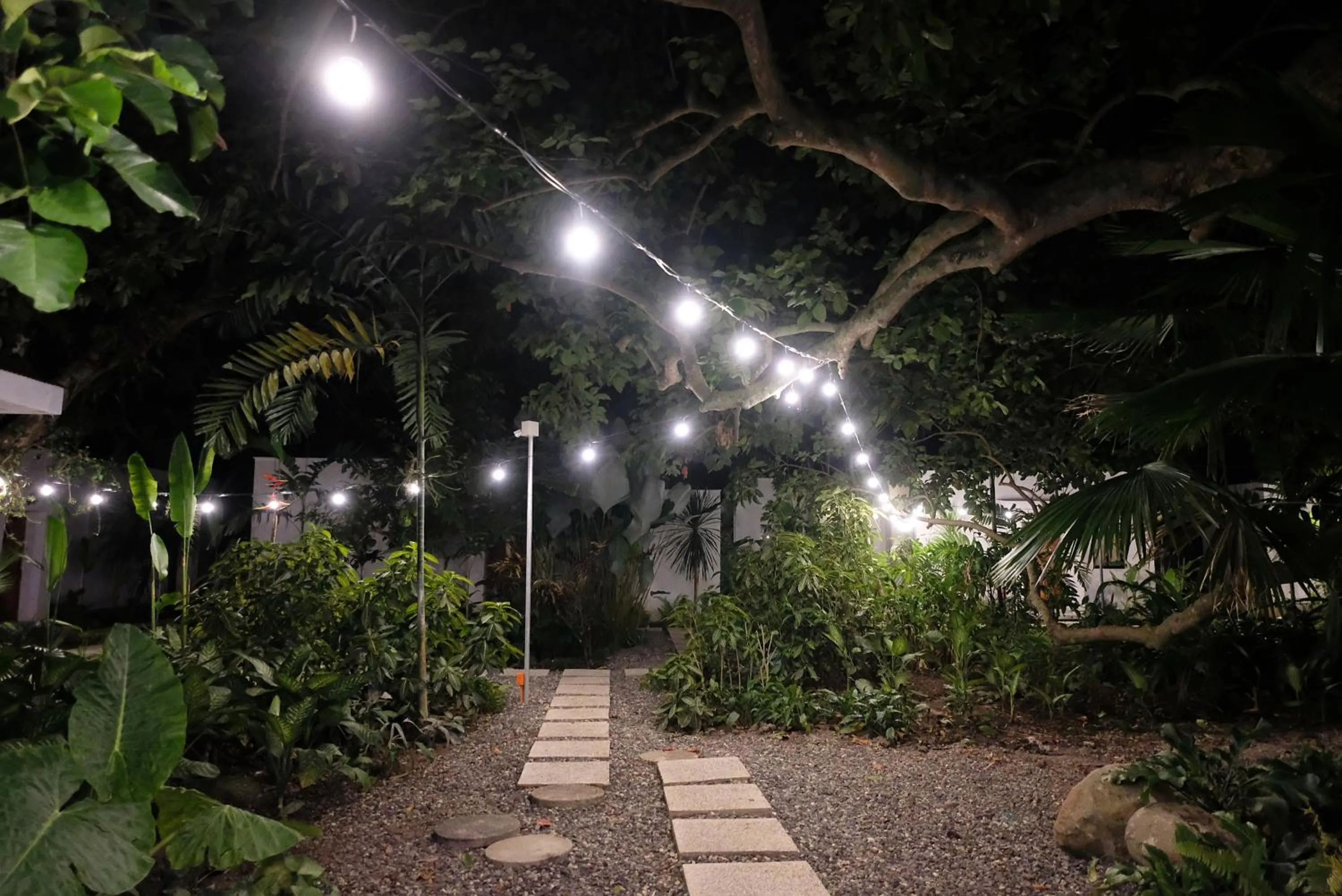 Garden in Mad Monkey Dumaguete