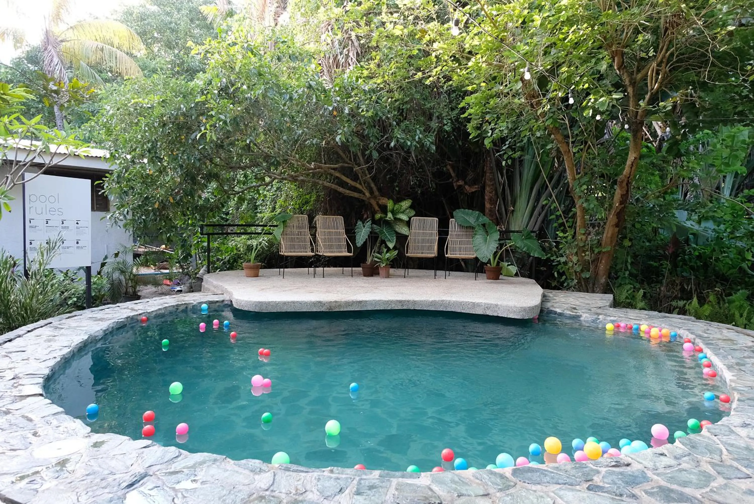 Swimming pool in Mad Monkey Dumaguete