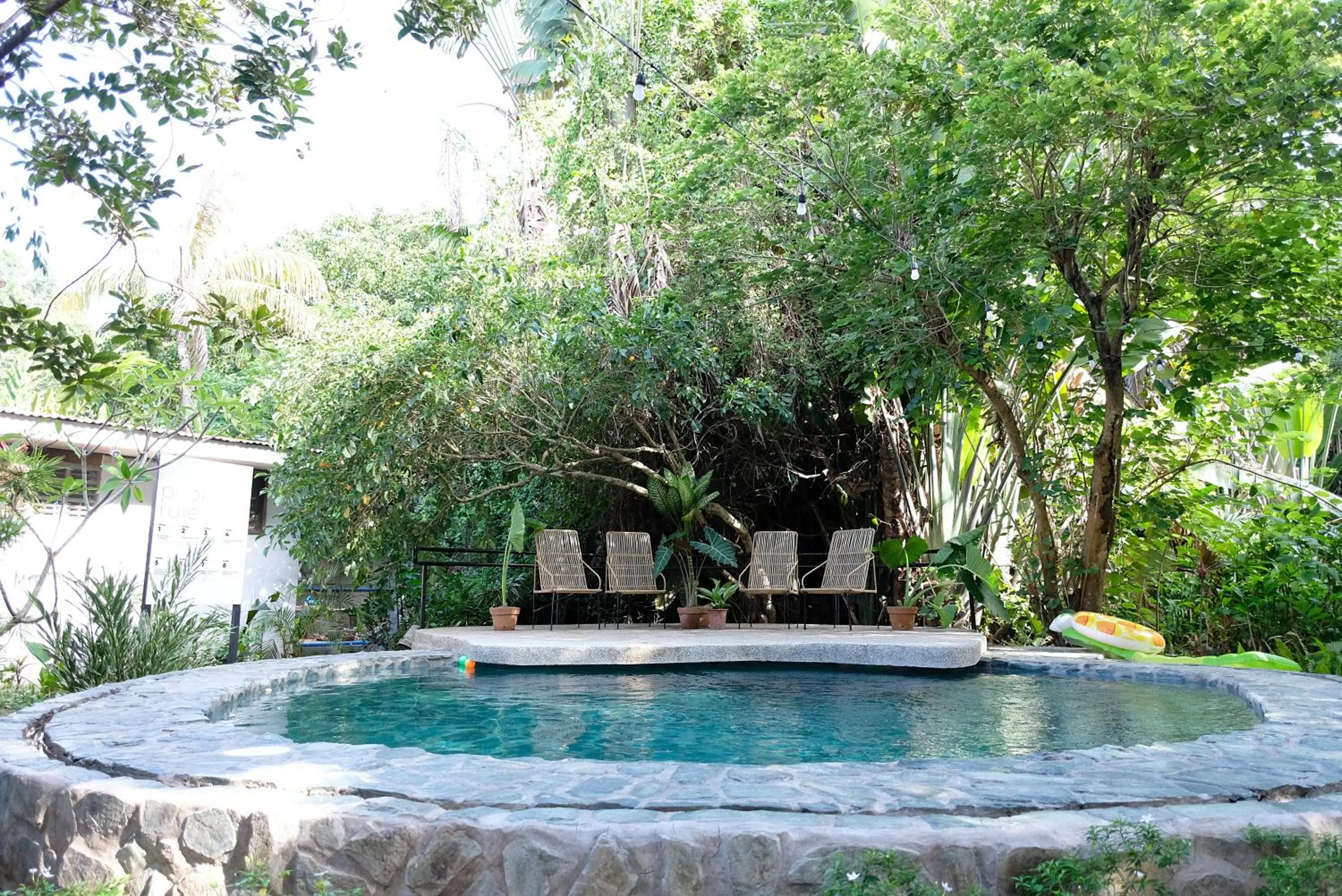 Swimming pool in Mad Monkey Dumaguete