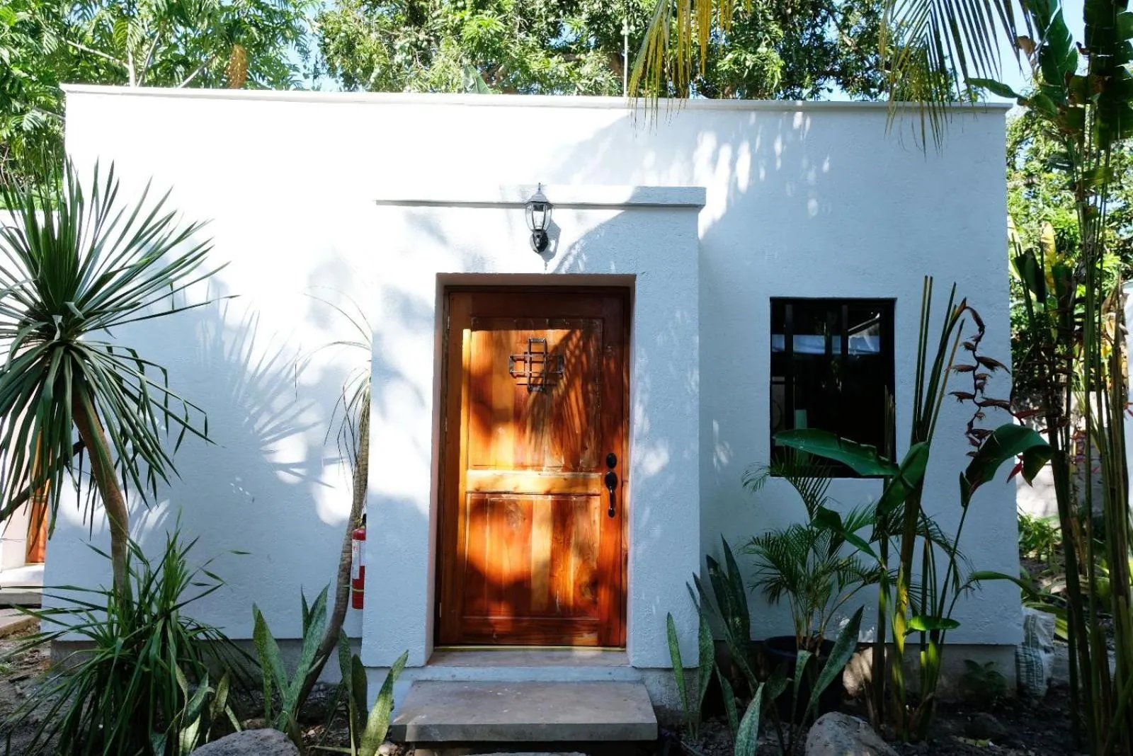 Property building in Mad Monkey Dumaguete