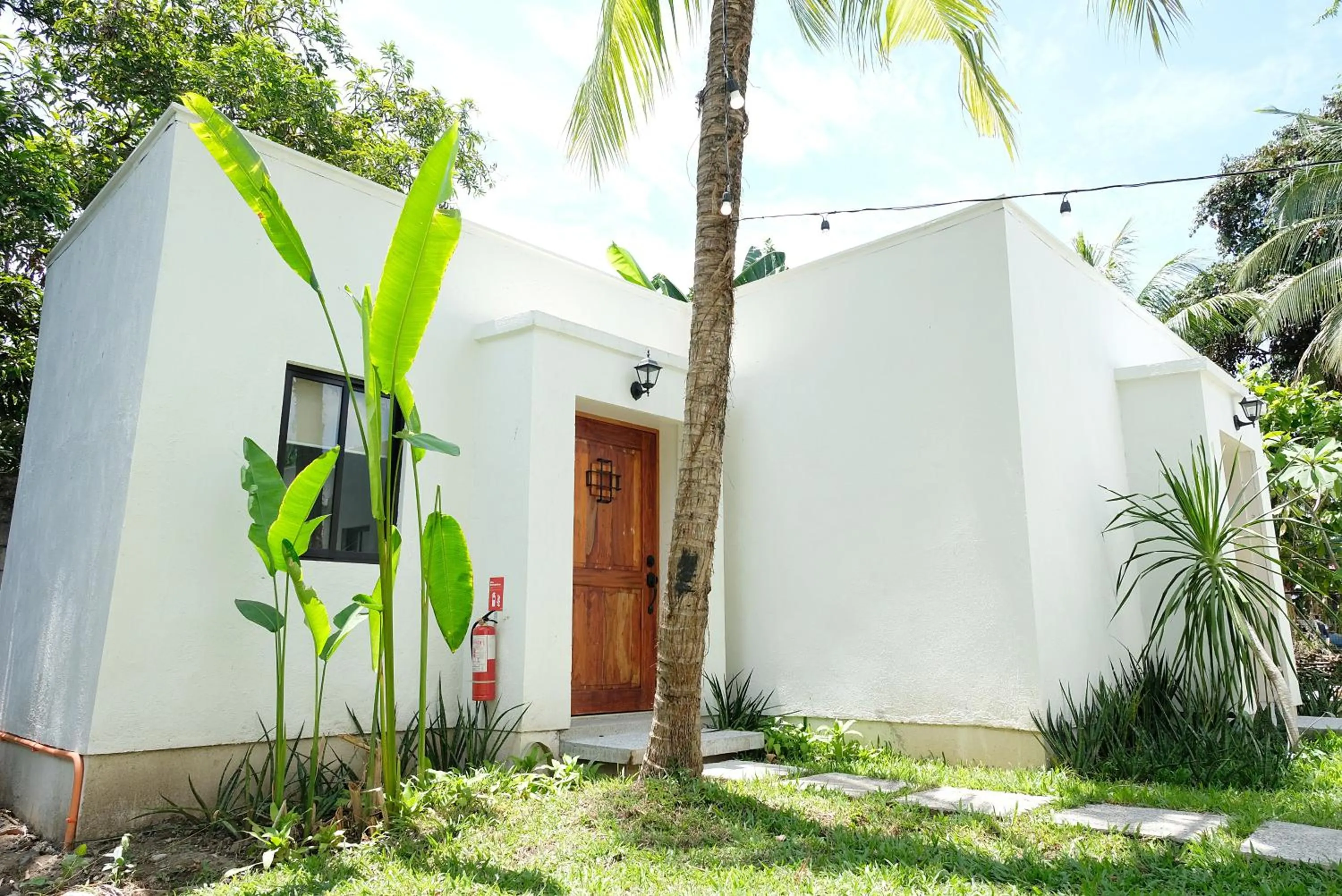 Property building in Mad Monkey Dumaguete