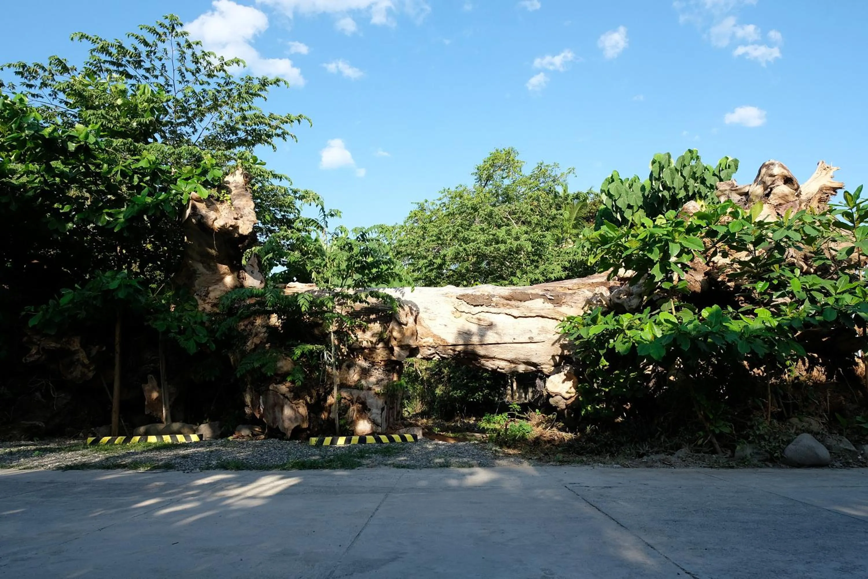 Activities in Mad Monkey Dumaguete