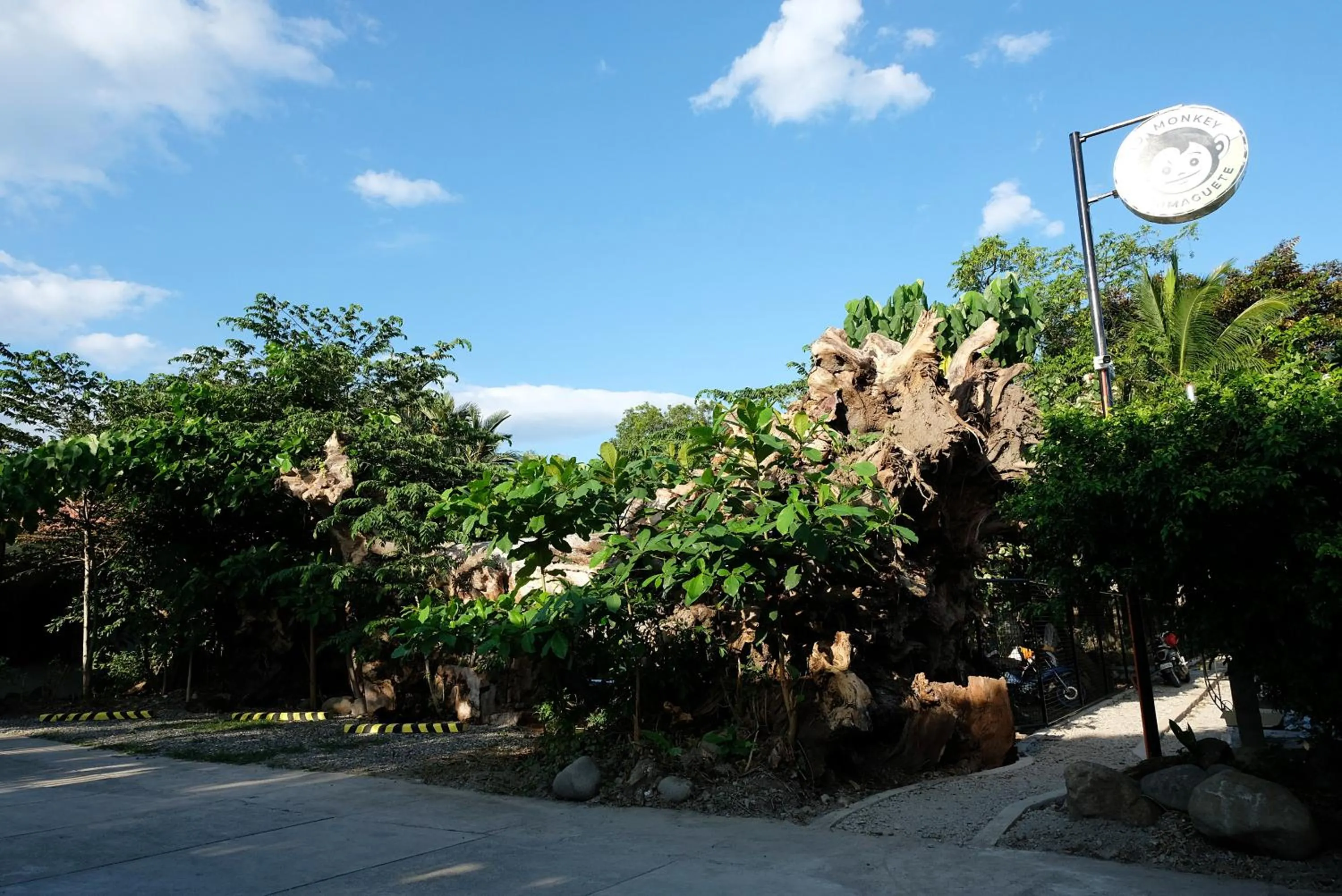 Facade/entrance in Mad Monkey Dumaguete