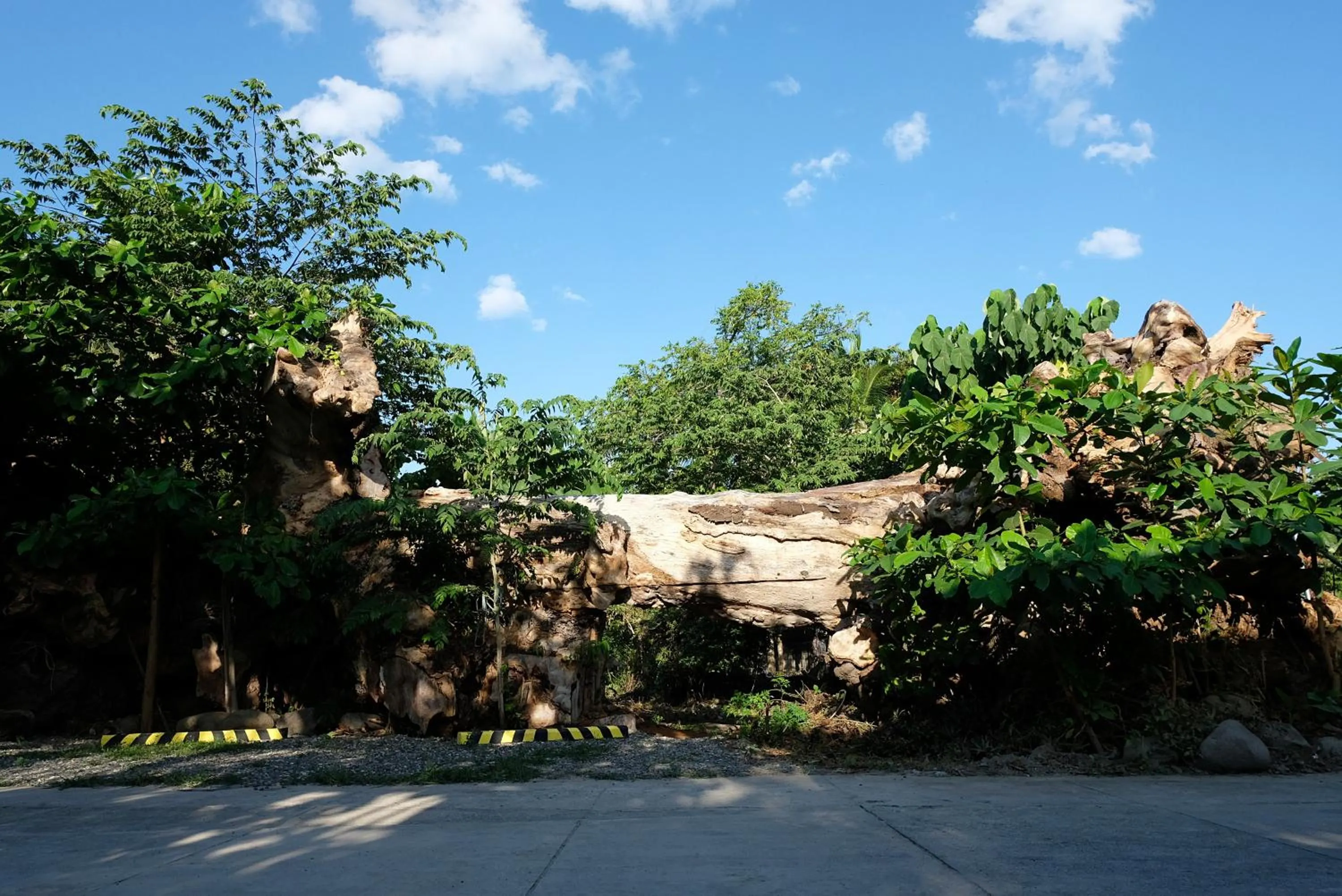 Activities in Mad Monkey Dumaguete