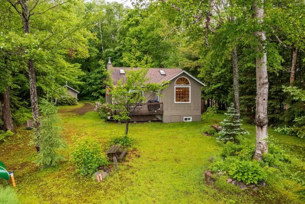 Bear Essentials Hideaway