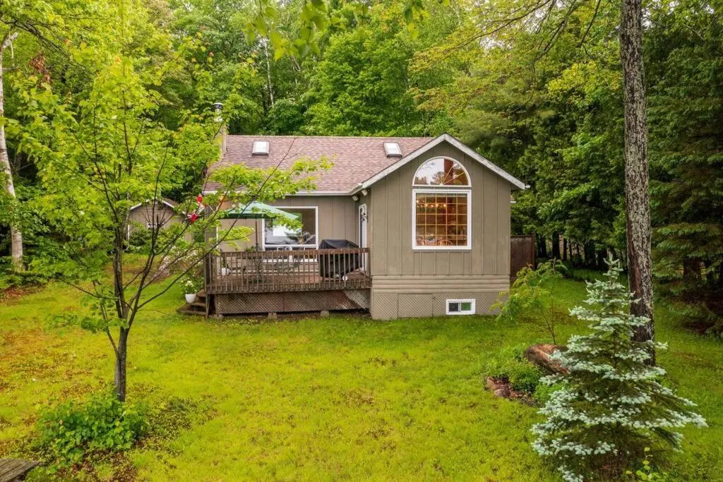 Bear Essentials Hideaway