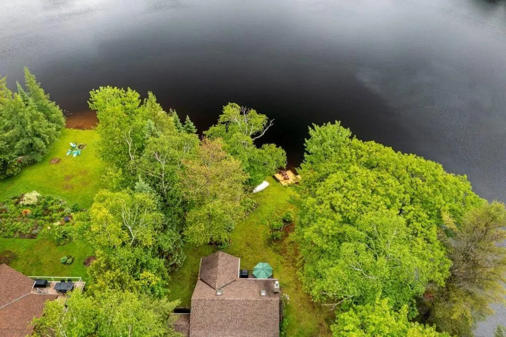 Bear Essentials Hideaway