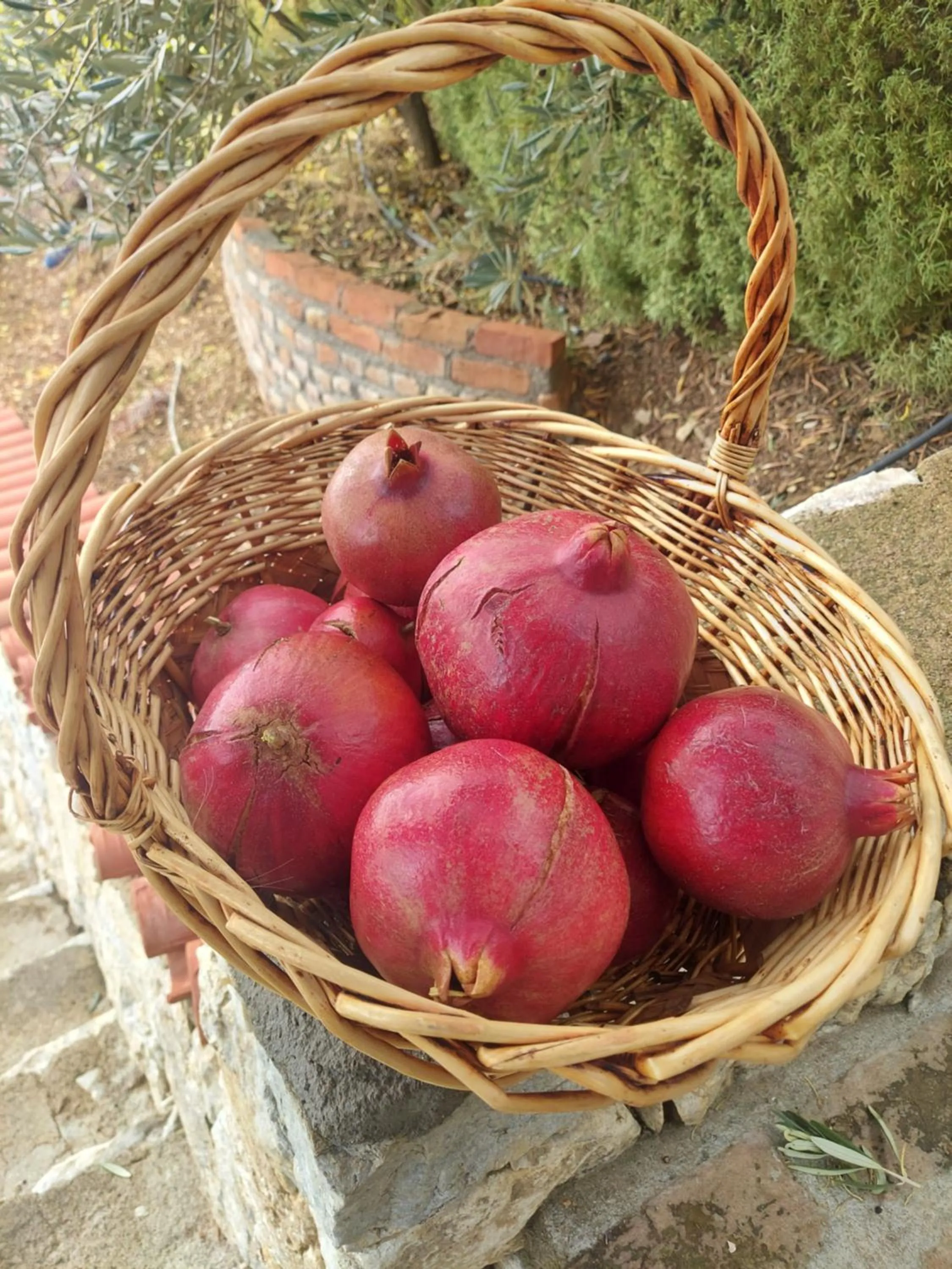 Food close-up in KAZDAĞLARI ZEYTUNİHAN BUTİK OTEL