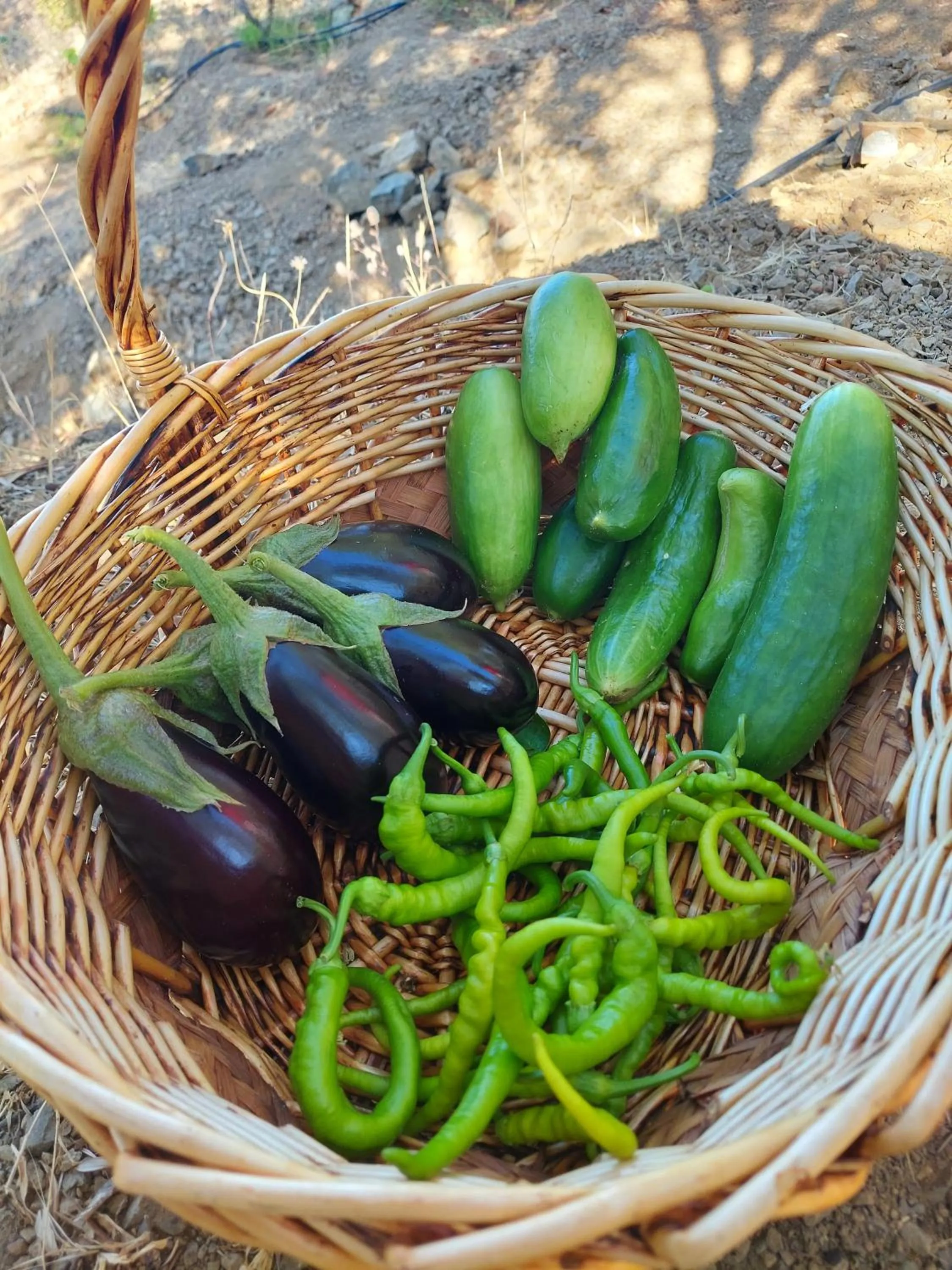 Food and drinks in KAZDAĞLARI ZEYTUNİHAN BUTİK OTEL