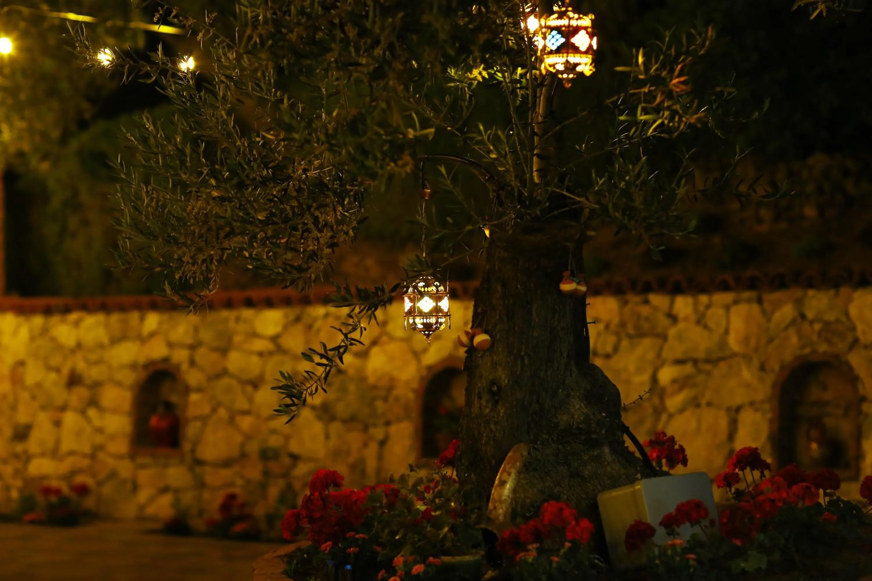 Garden in KAZDAĞLARI ZEYTUNİHAN BUTİK OTEL