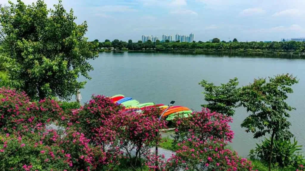 Natural landscape in Capsule Ecopark