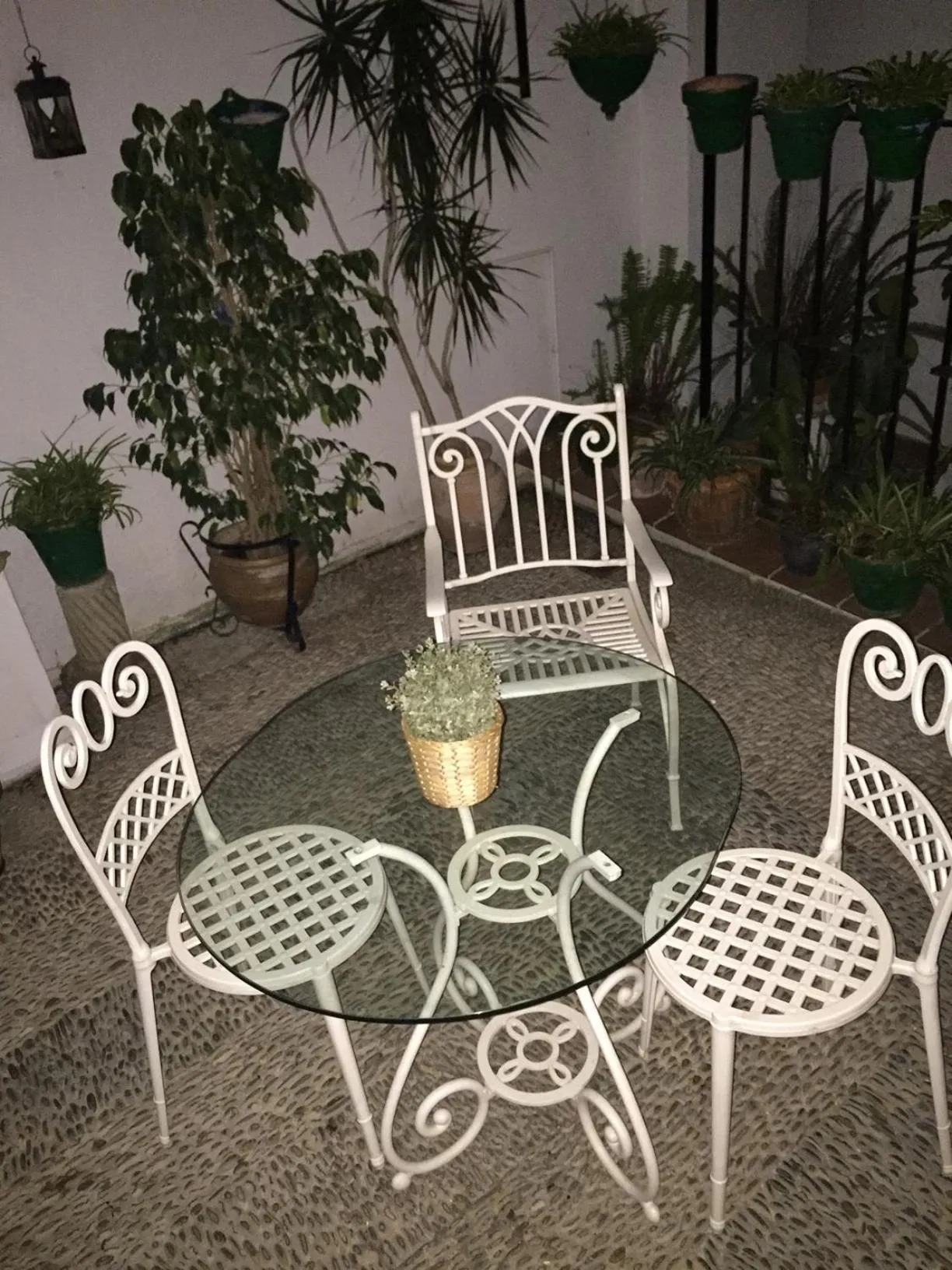 Garden in Hospedería Luis de Góngora