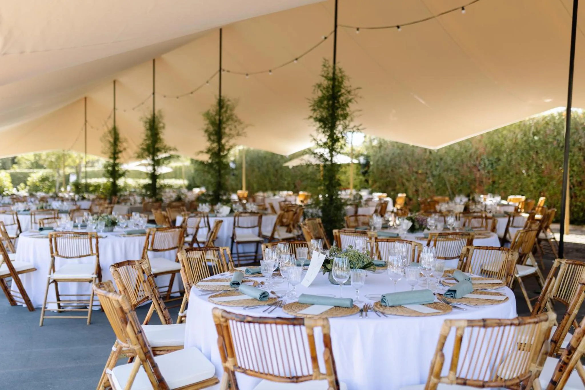 Garden in Hotel Pazo O Rial