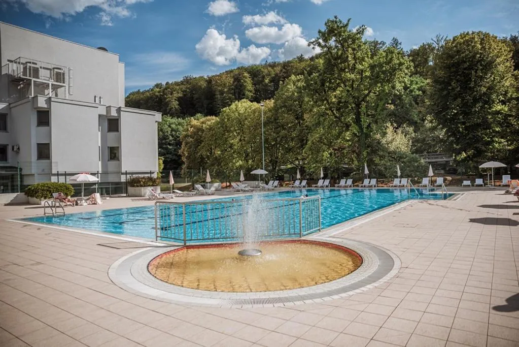 Swimming pool in Apartment Center Rogaška - Pubyland