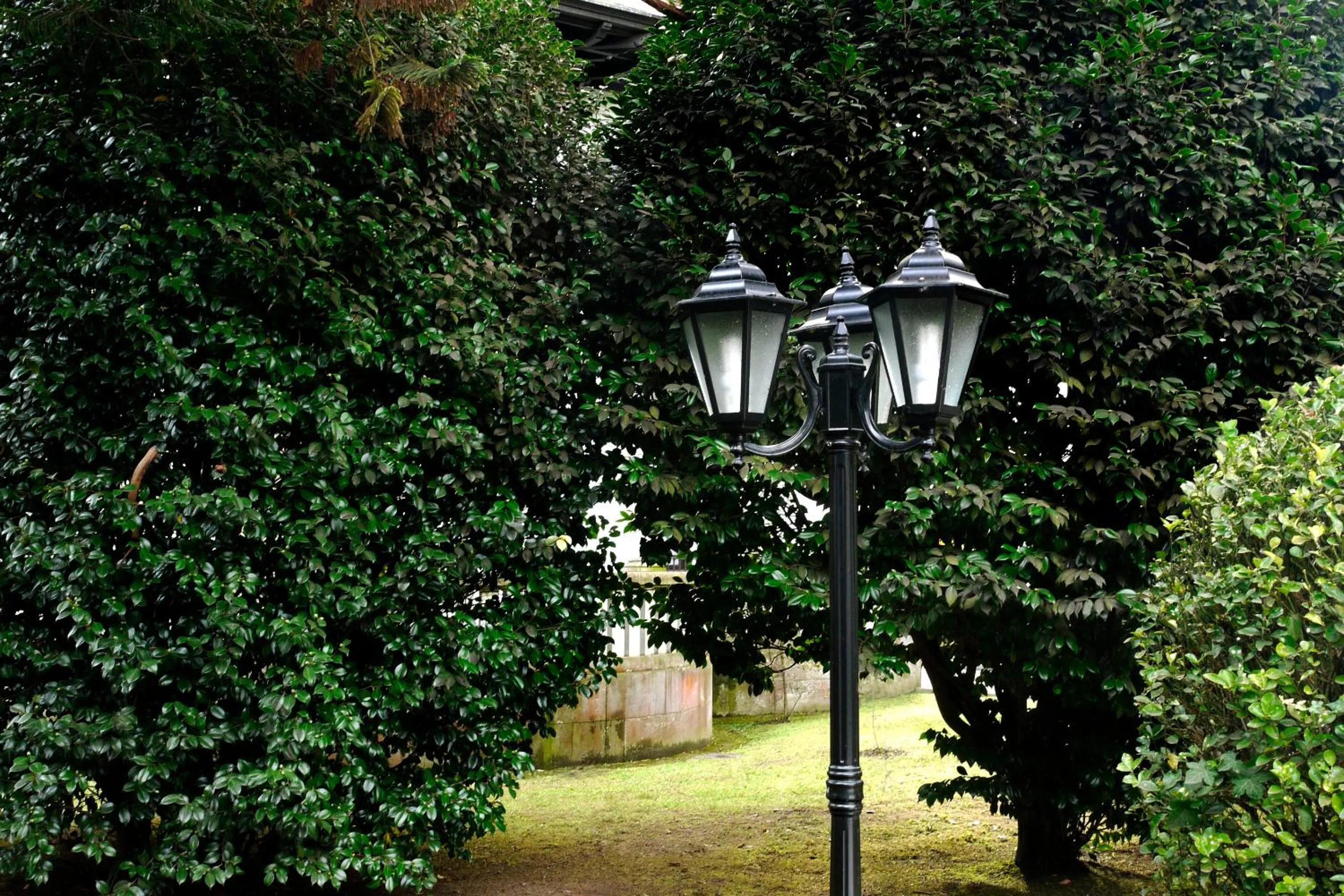 Garden in Hotel y Apartamentos Arias