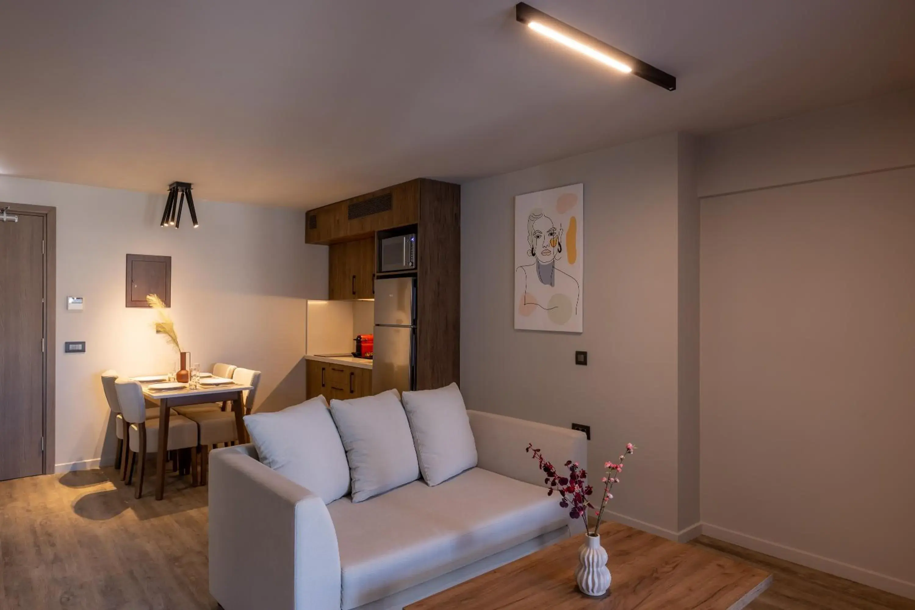 Living room in 507 Athens Living room in 507 Athens