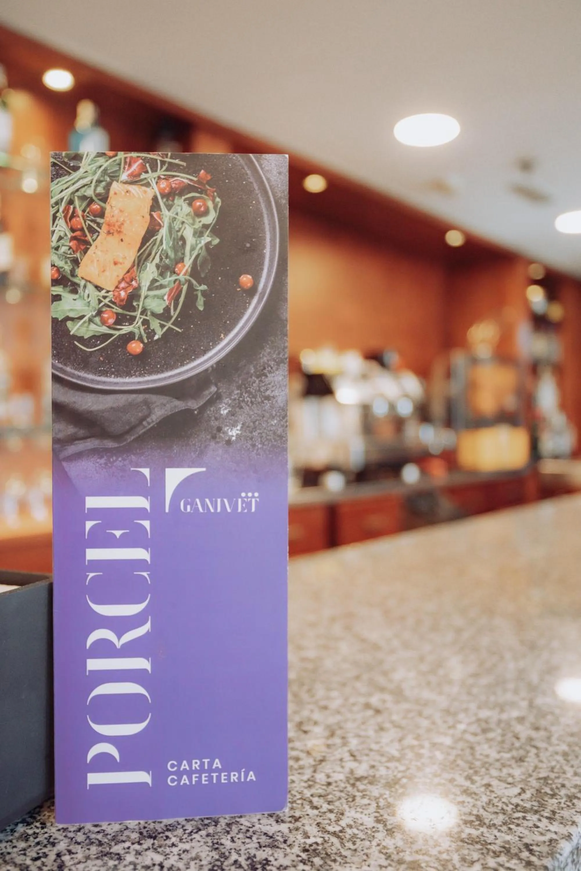 Property logo or sign in Porcel Ganivet