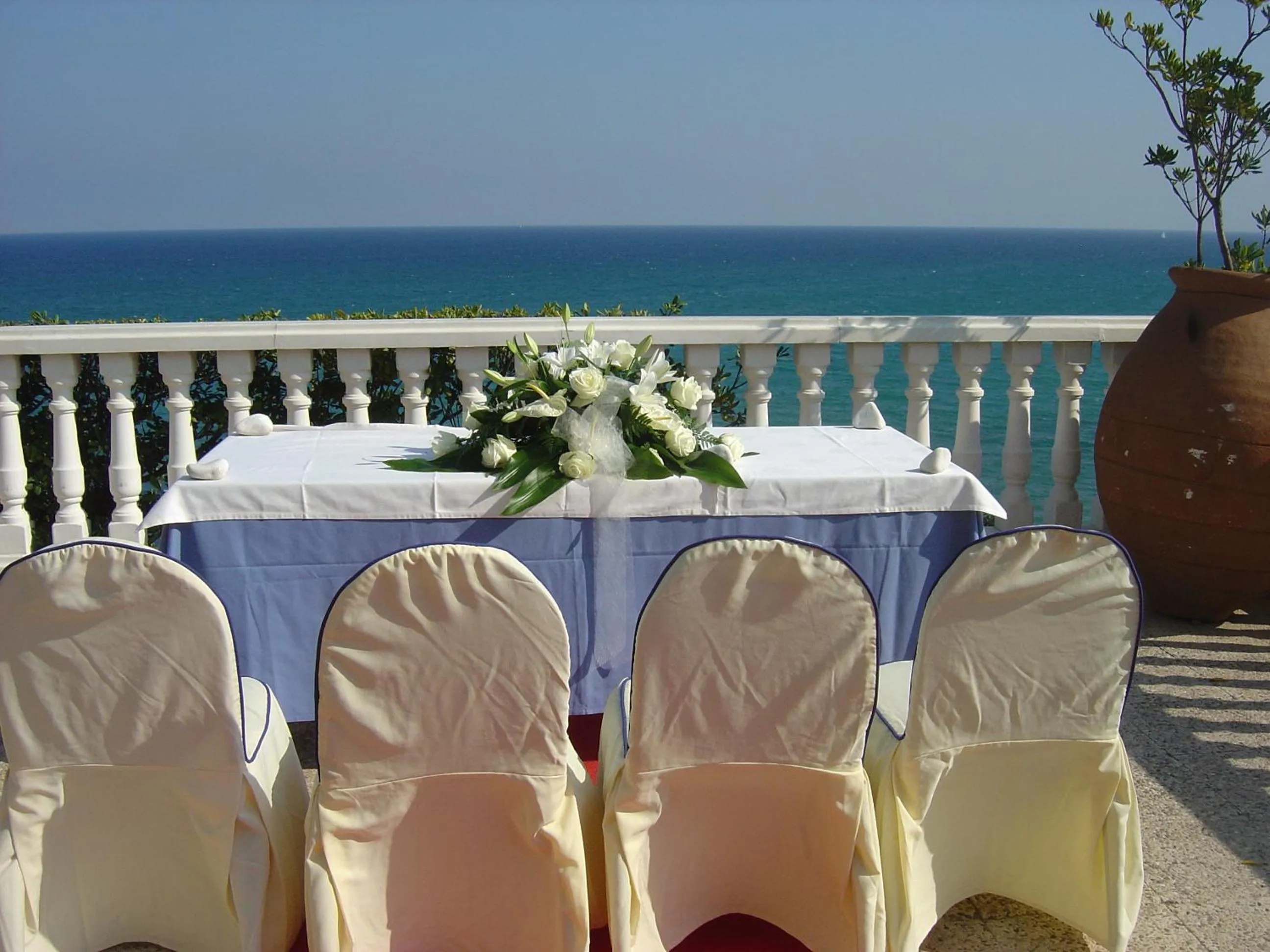 Hotel Masa International