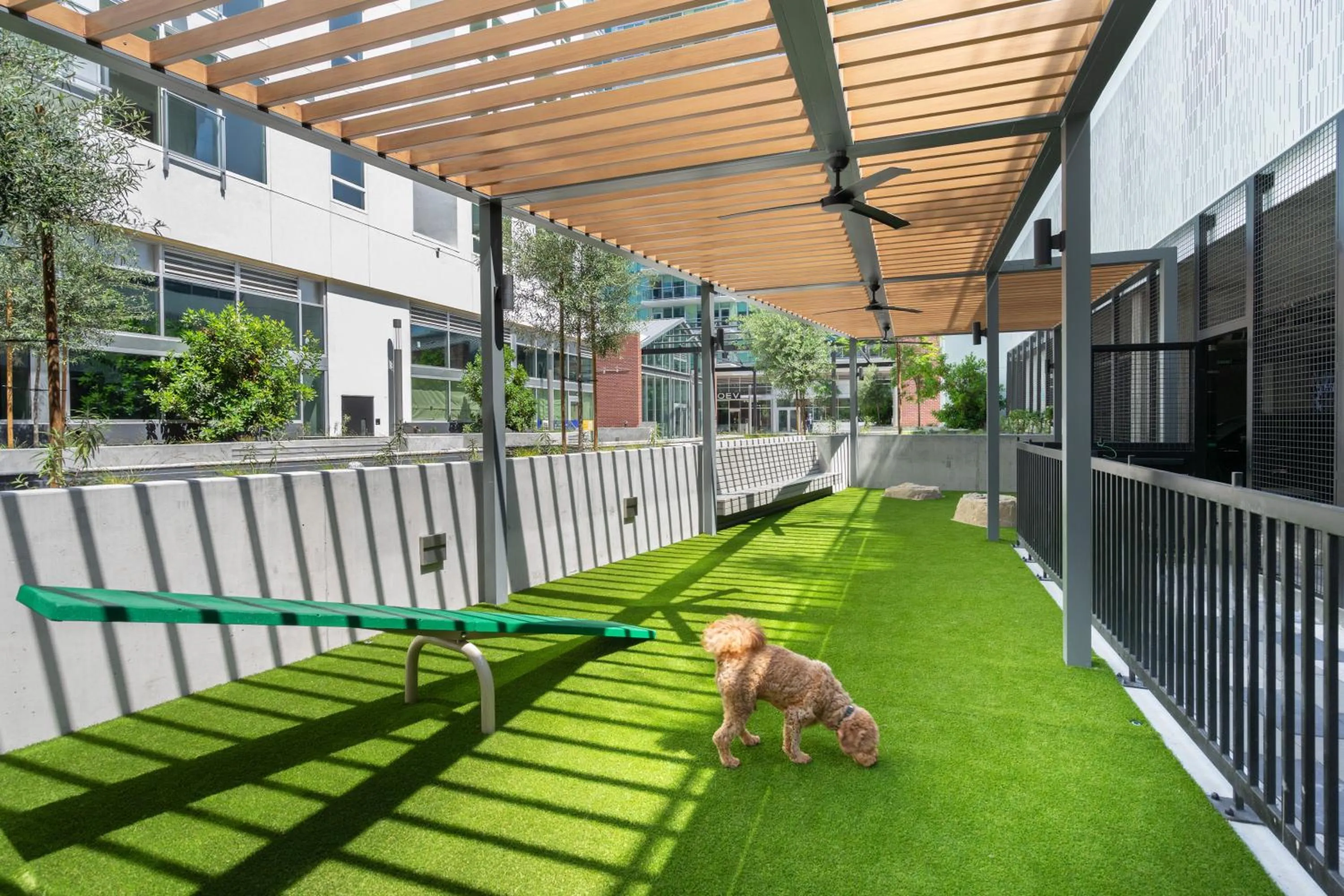 Pets in Level Long Beach - East Village