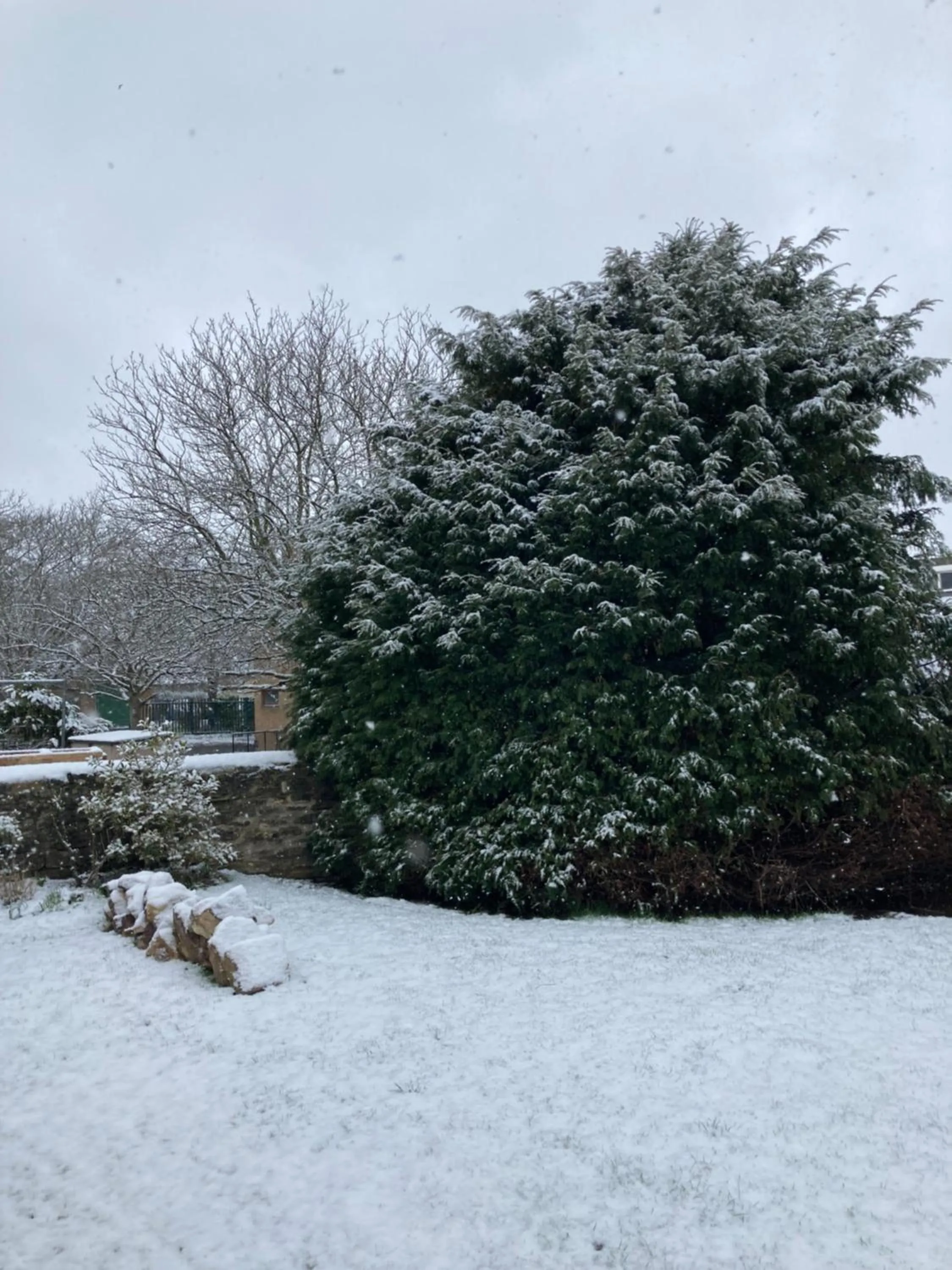 Day in Yew Tree House