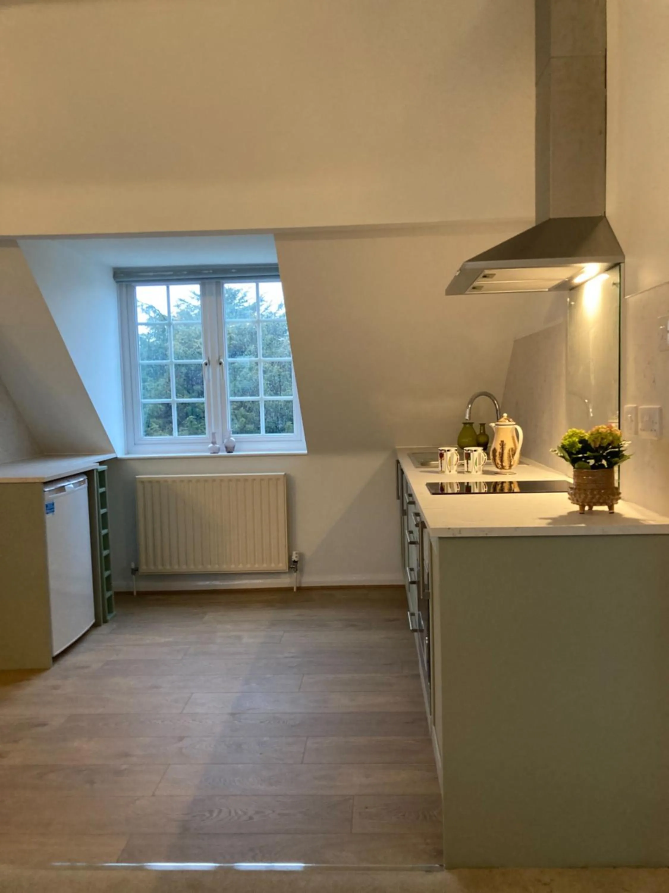 Kitchen or kitchenette in Yew Tree House