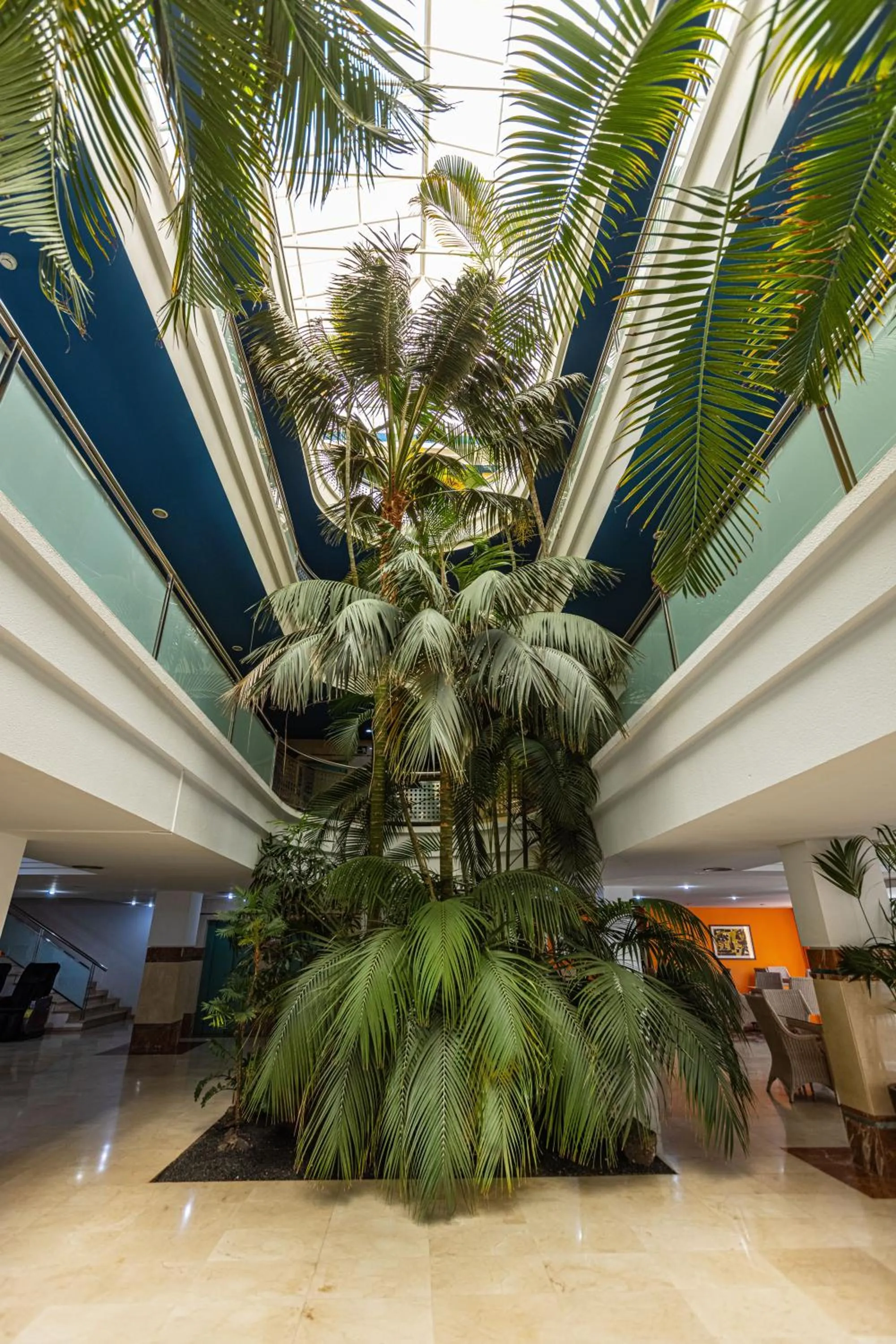 IFA Altamarena by Lopesan Hotels