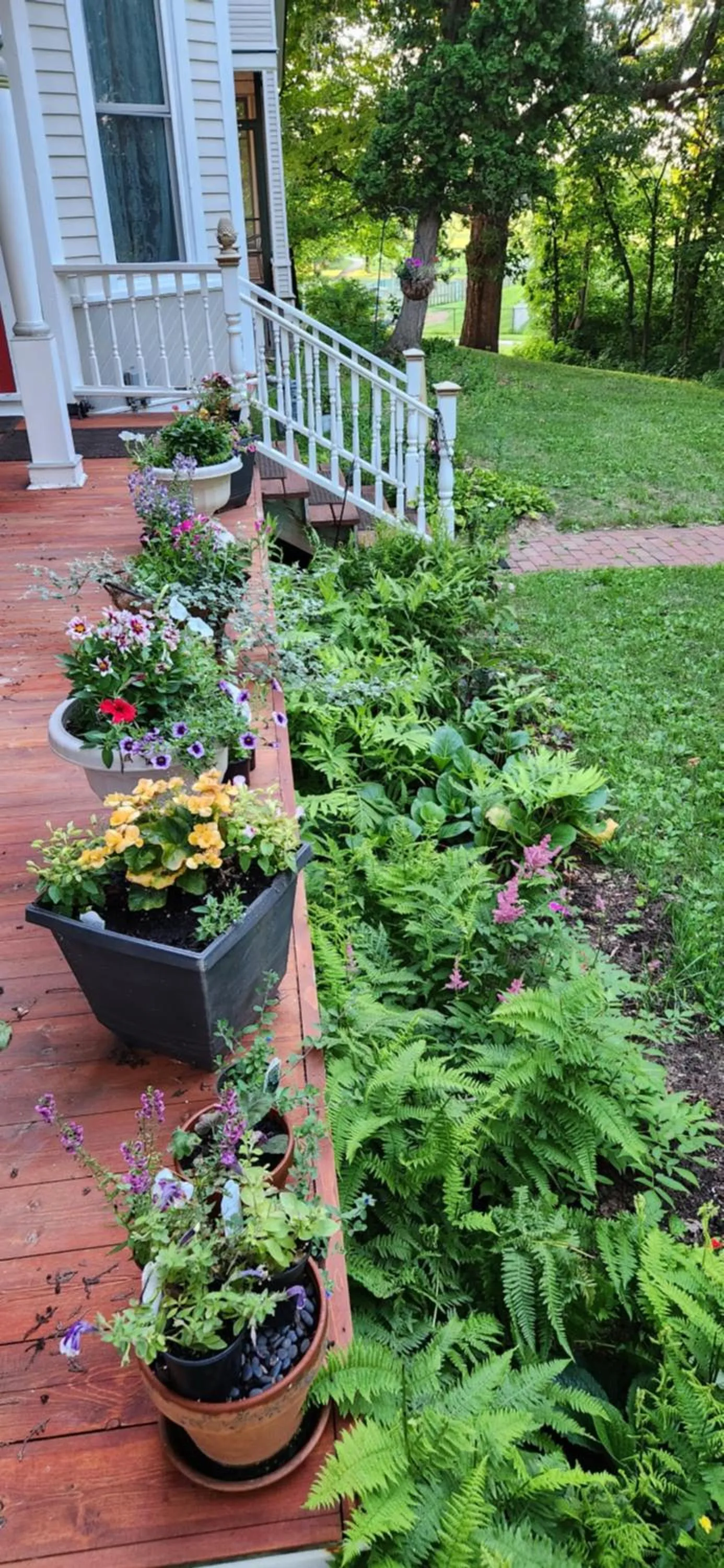 Garden in Oaklawn Inn