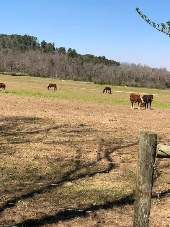 Alpenhaus Cabins Real Log Home in Helen Ga Mountains with hot tub and balconies