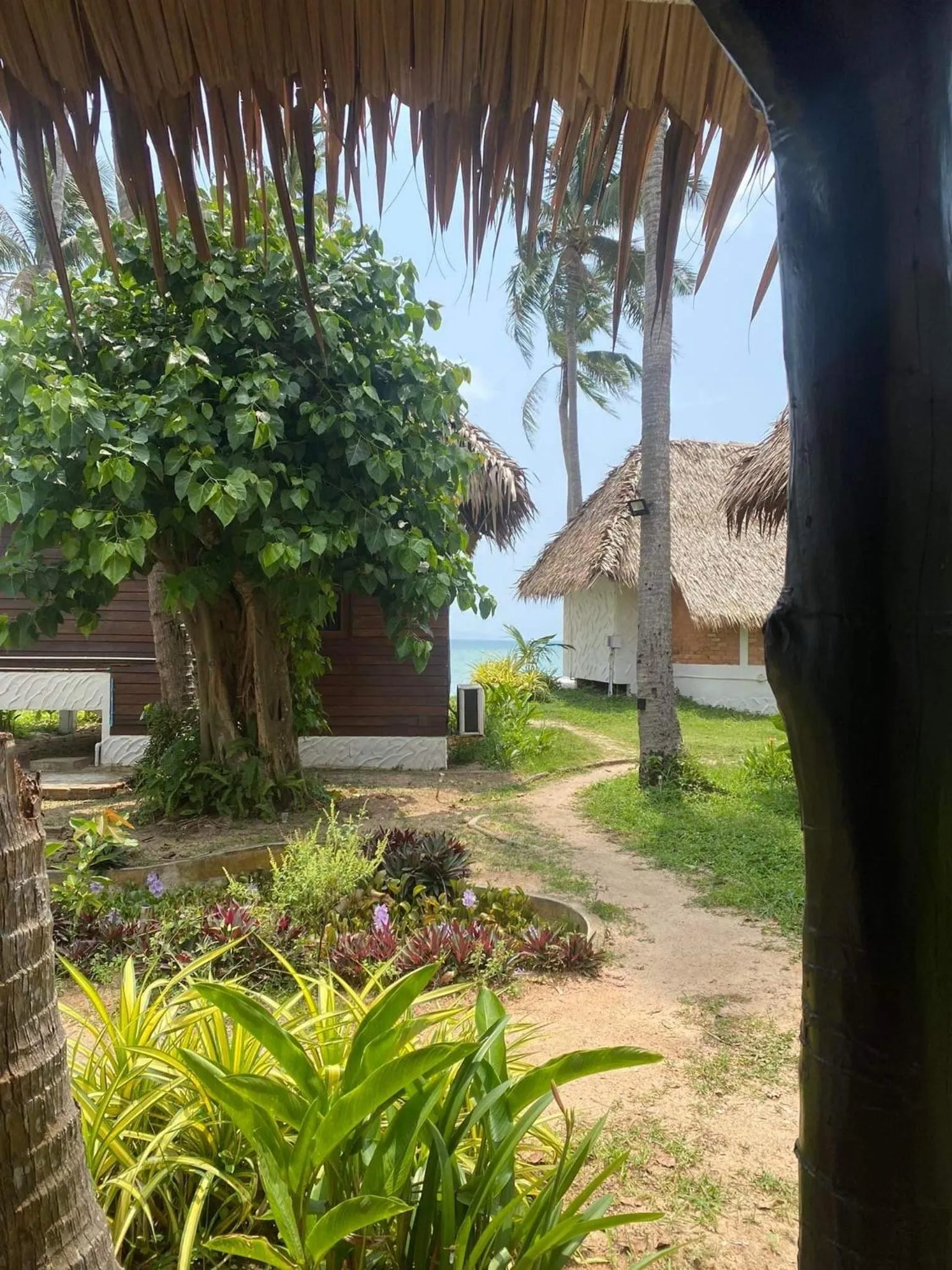 Garden in Wild Wood x Hansa Beach Fitness Resort