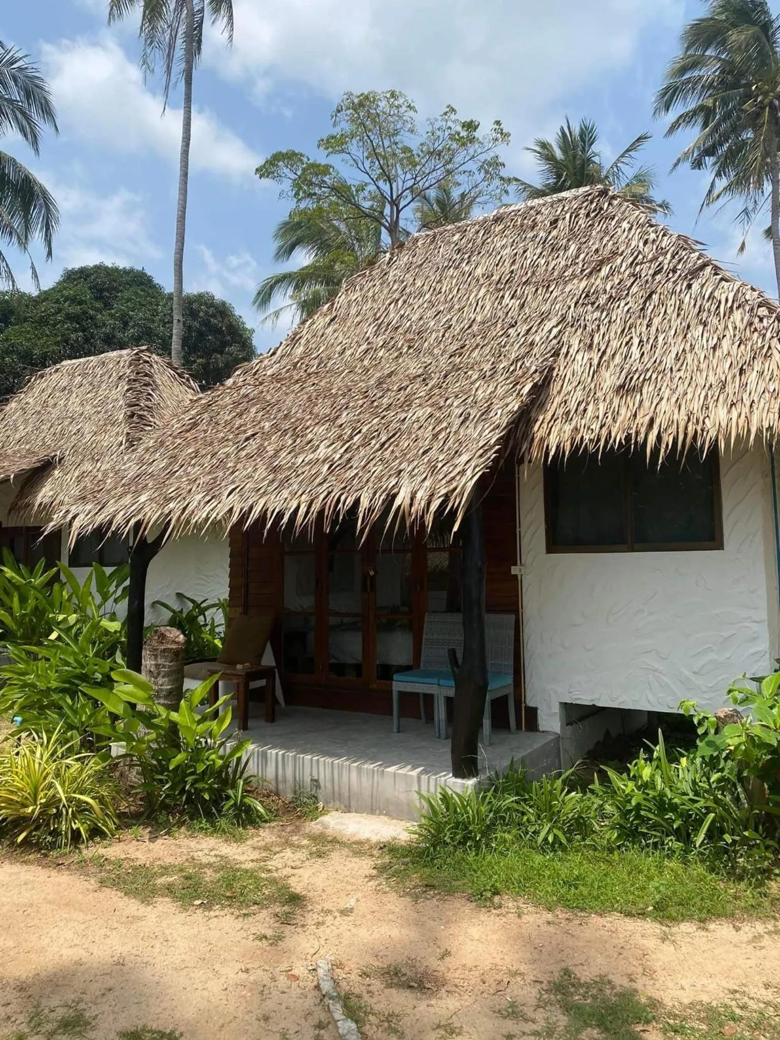 Wild Wood x Hansa Beach Fitness Resort