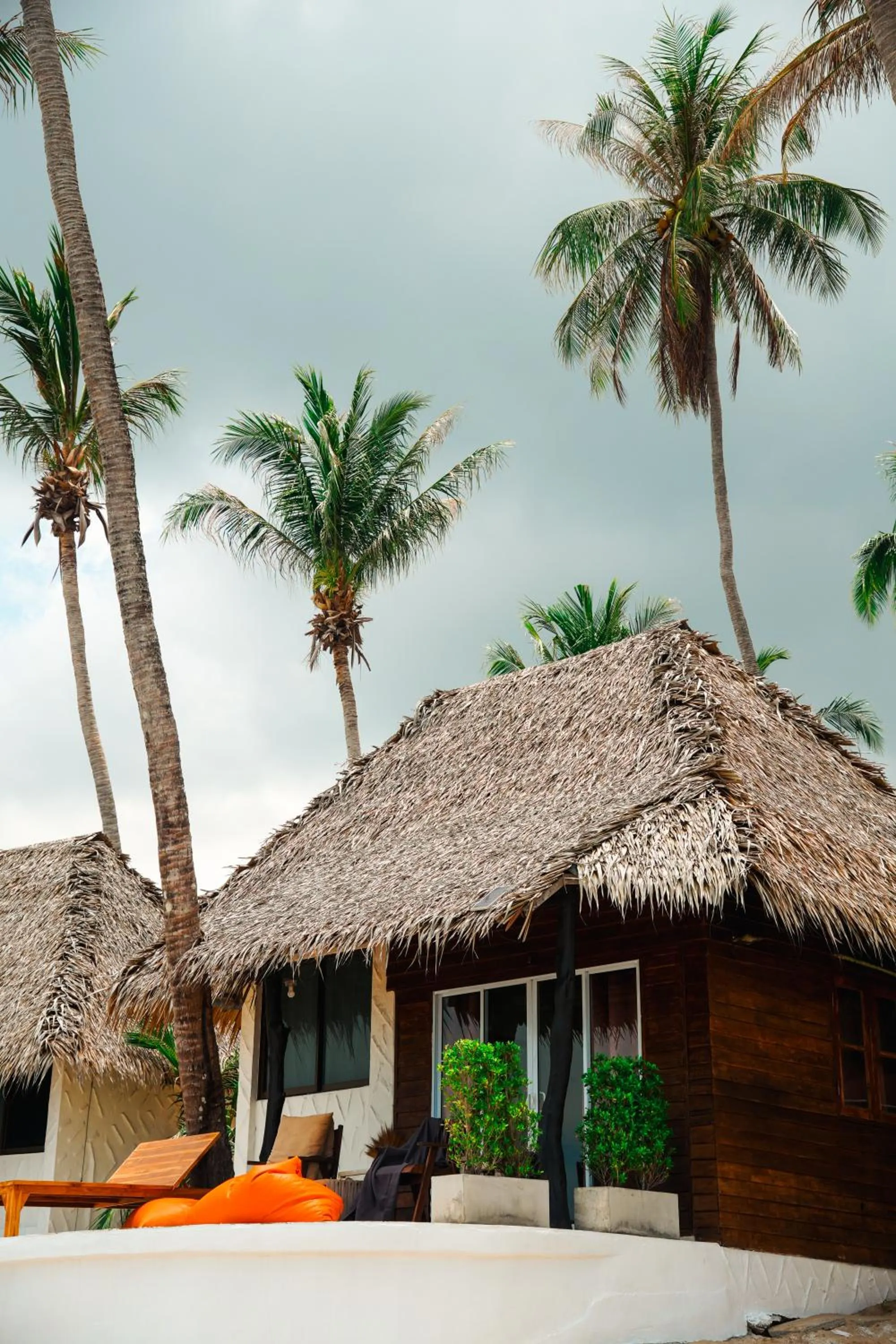 Wild Wood x Hansa Beach Fitness Resort