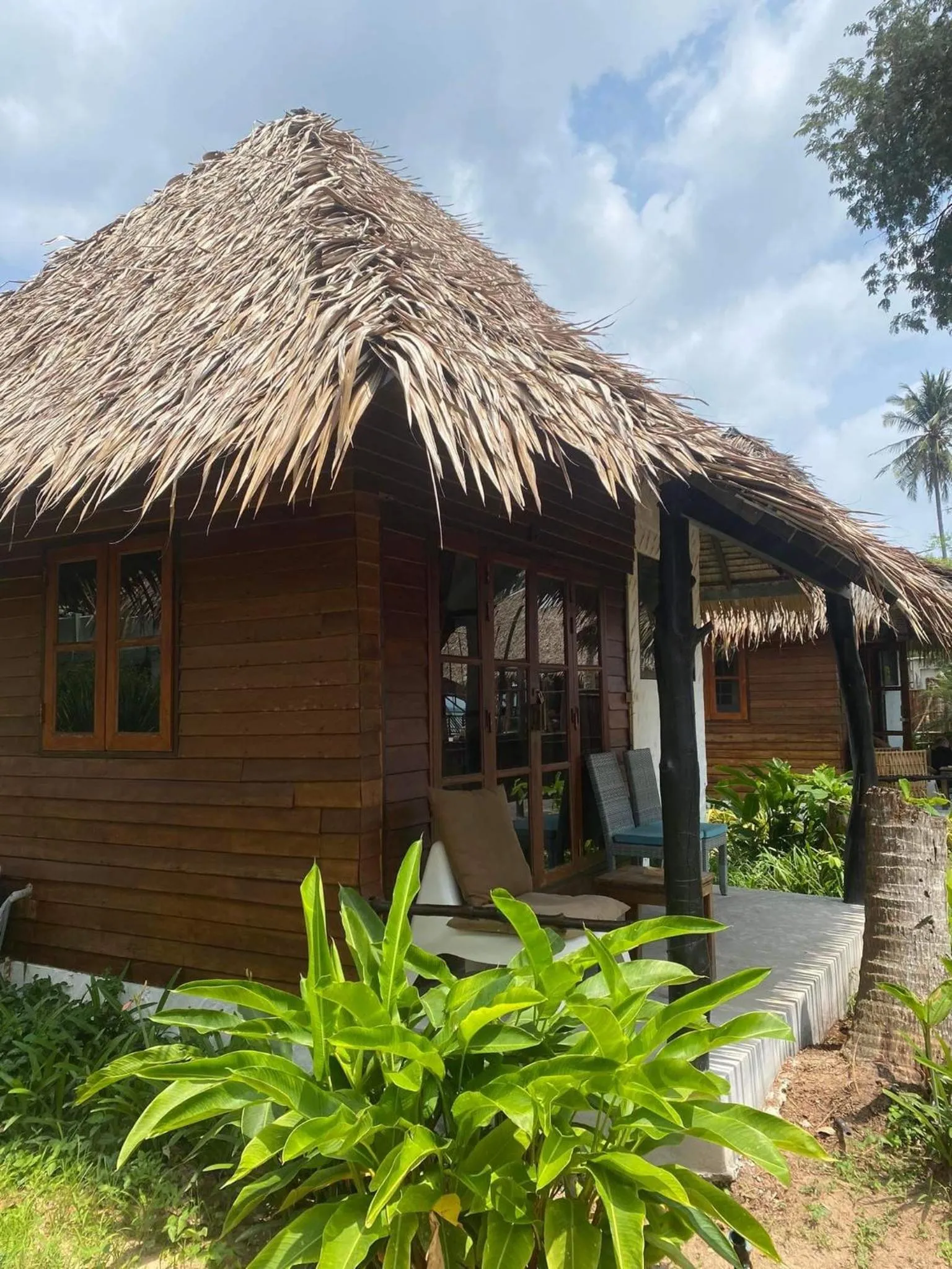 Wild Wood x Hansa Beach Fitness Resort