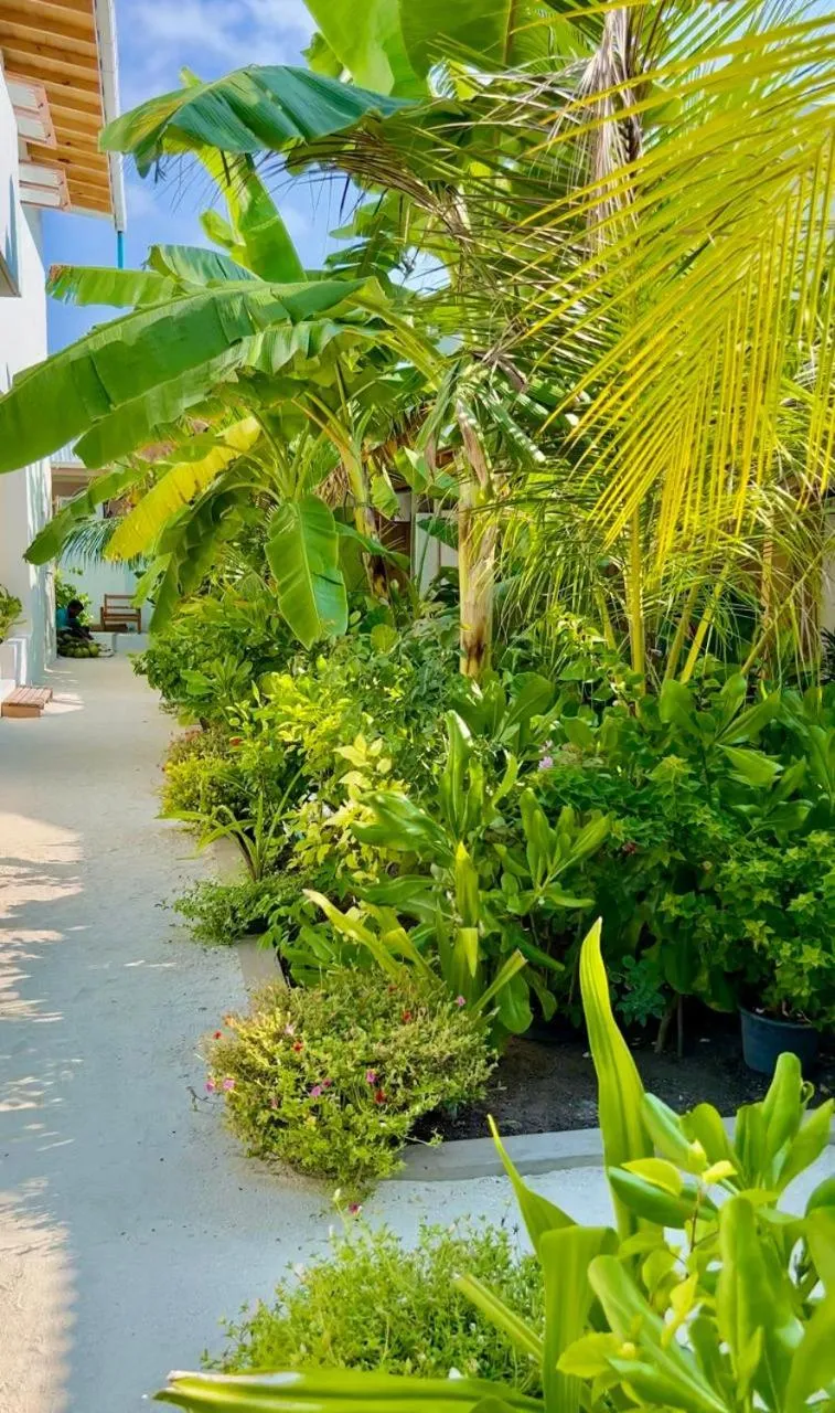Street view in Seaside Dhigurah