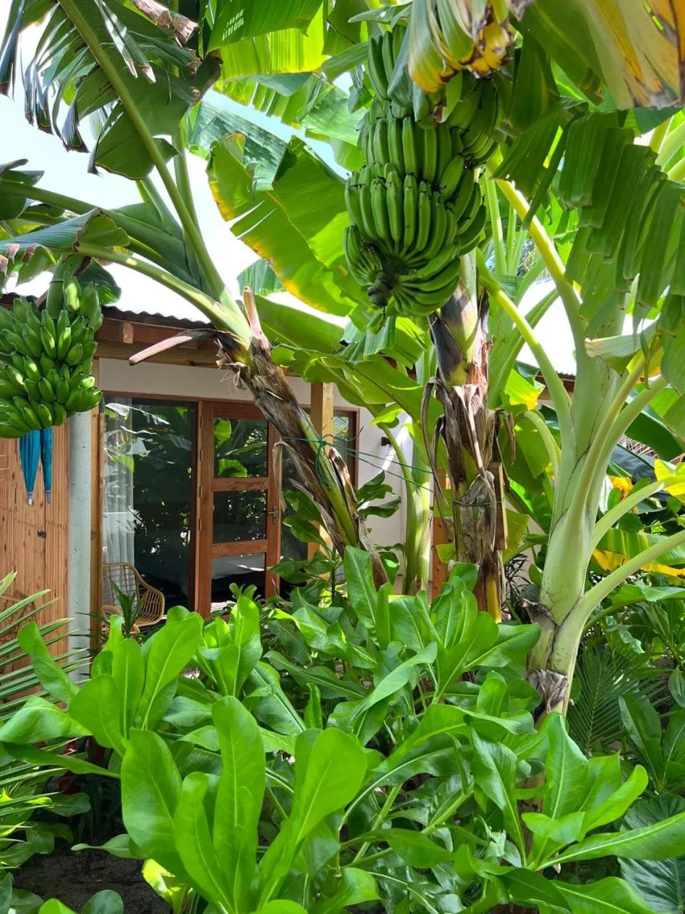 Natural landscape in Seaside Dhigurah