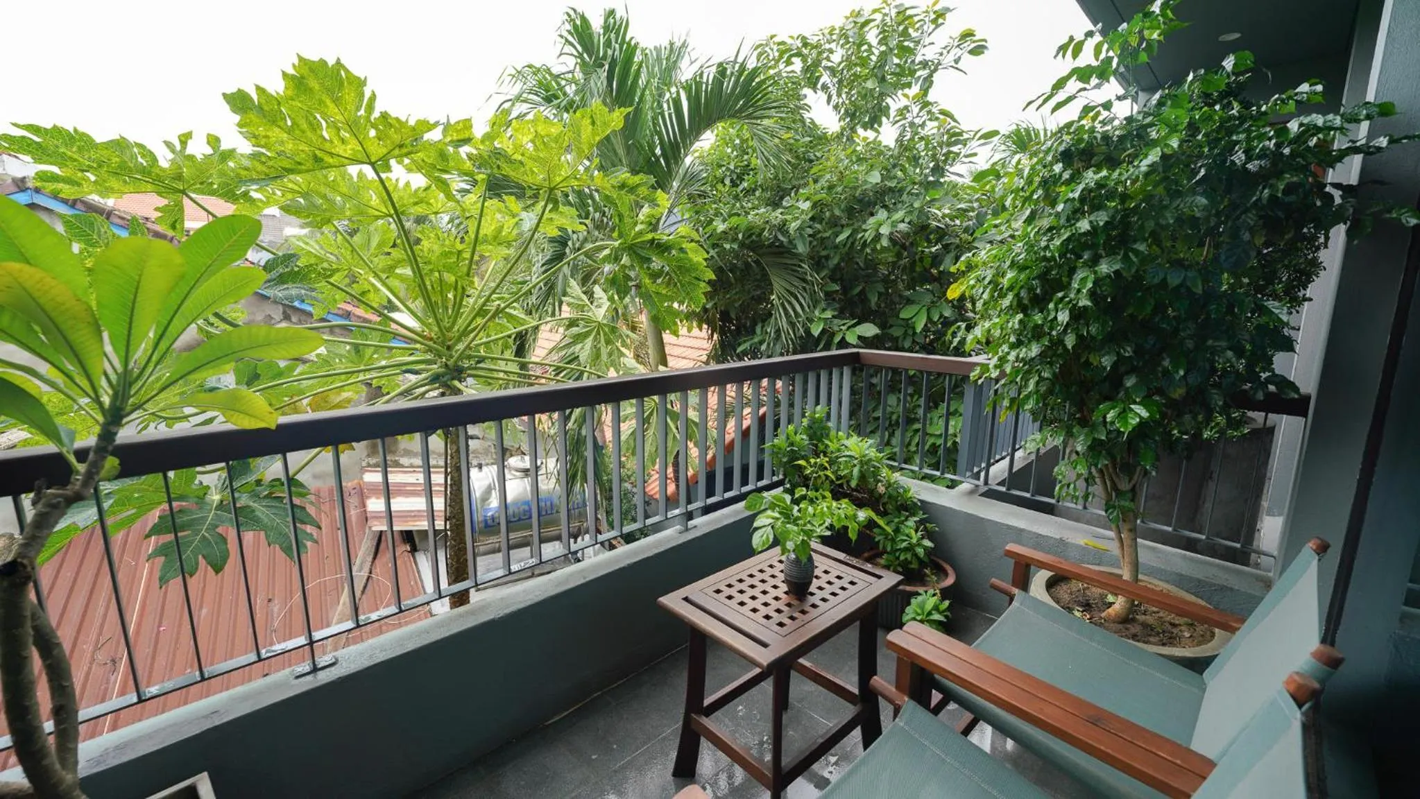 View (from property/room) in CHiEM HoiAn - The Beachside Boutique Hotel & Villa