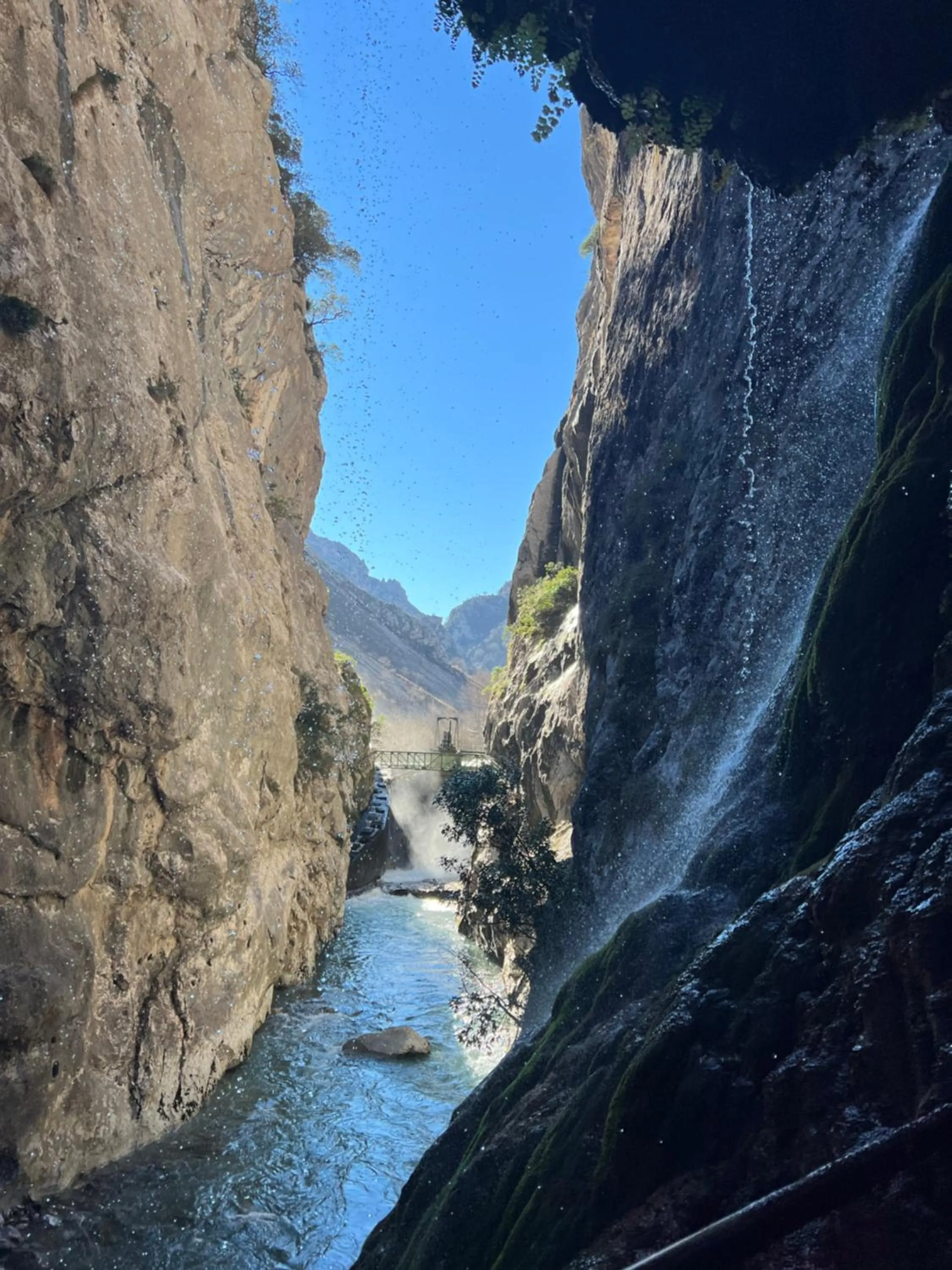 Natural landscape in Hotel Santillana