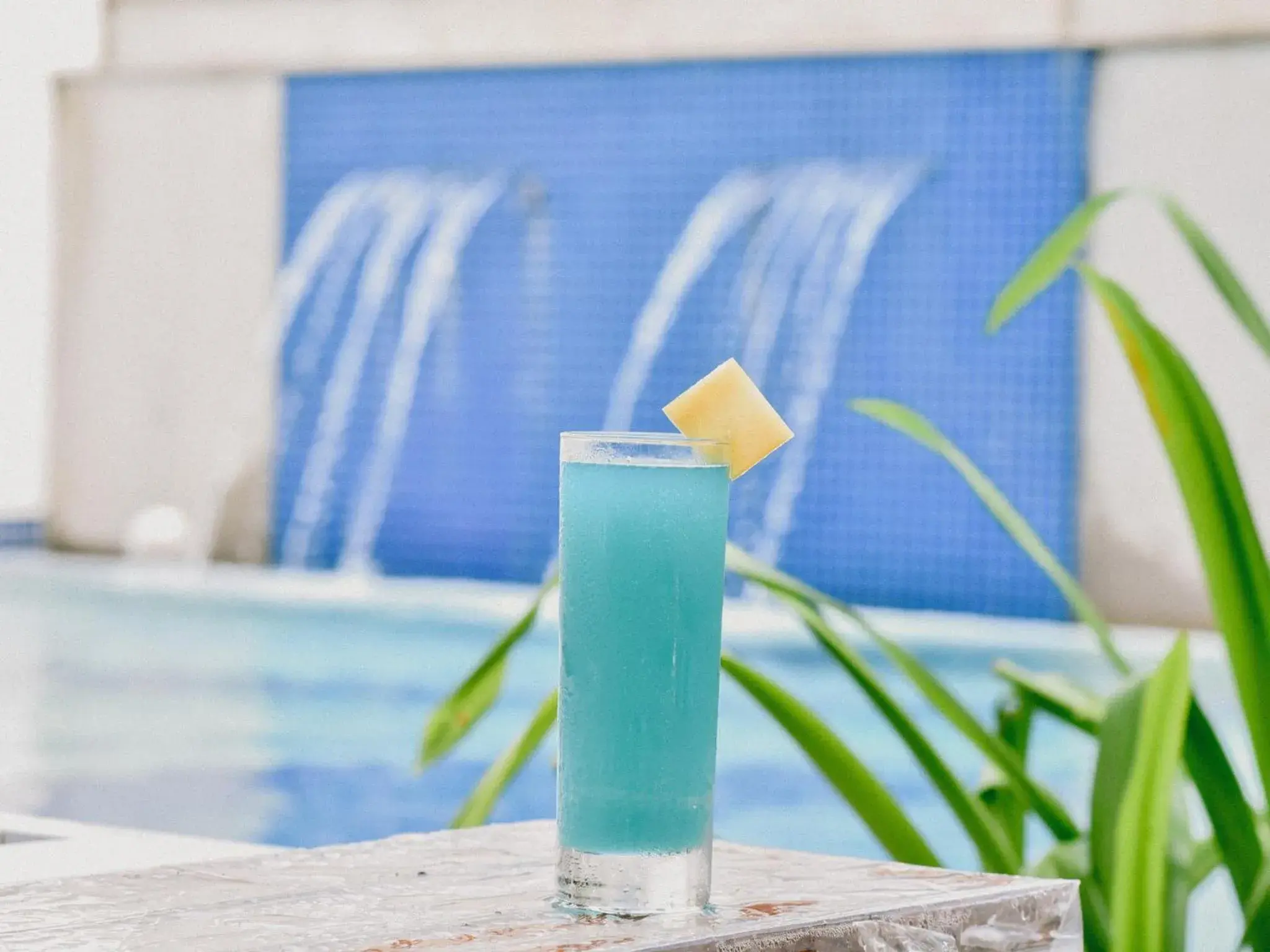 Swimming pool in The Yellow House, Goa - IHCL SeleQtions Swimming pool in The Yellow House, Goa - IHCL SeleQtions