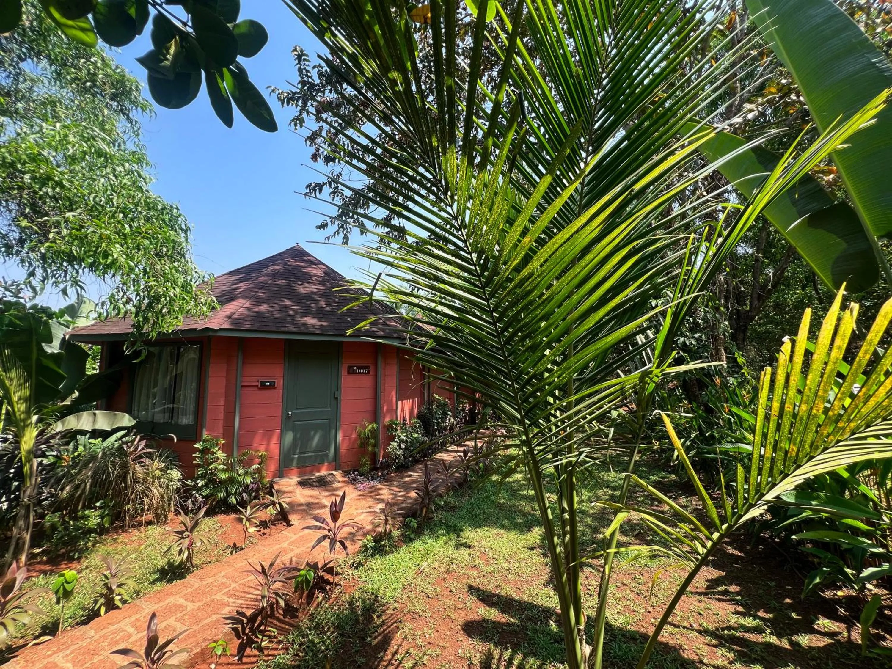 View (from property/room) in Habitus Resort