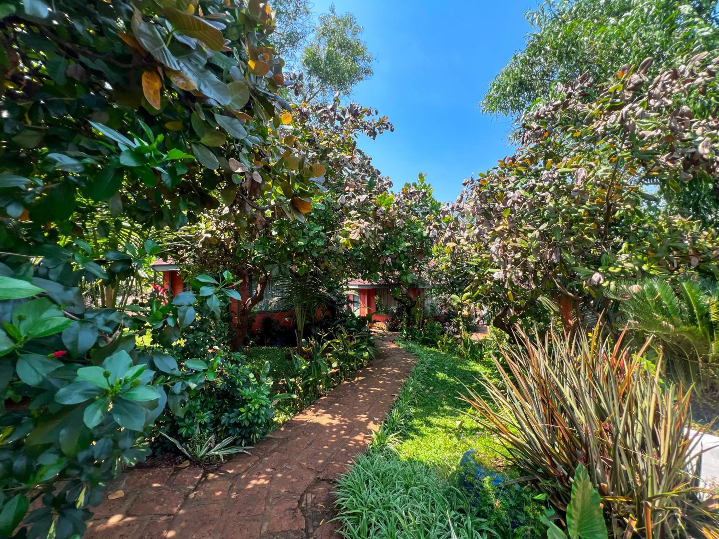 Garden view in Habitus Resort