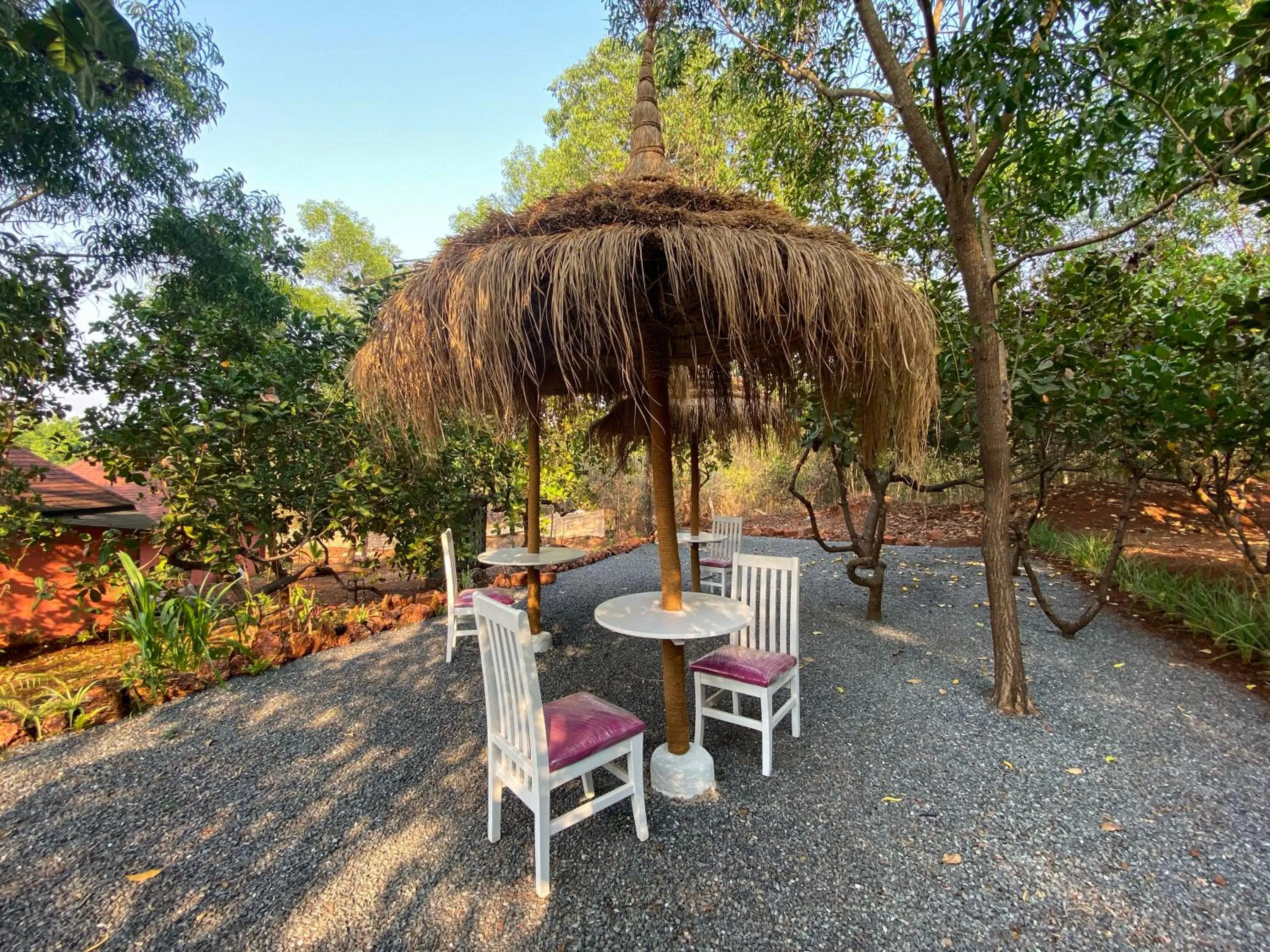 Day in Habitus Resort