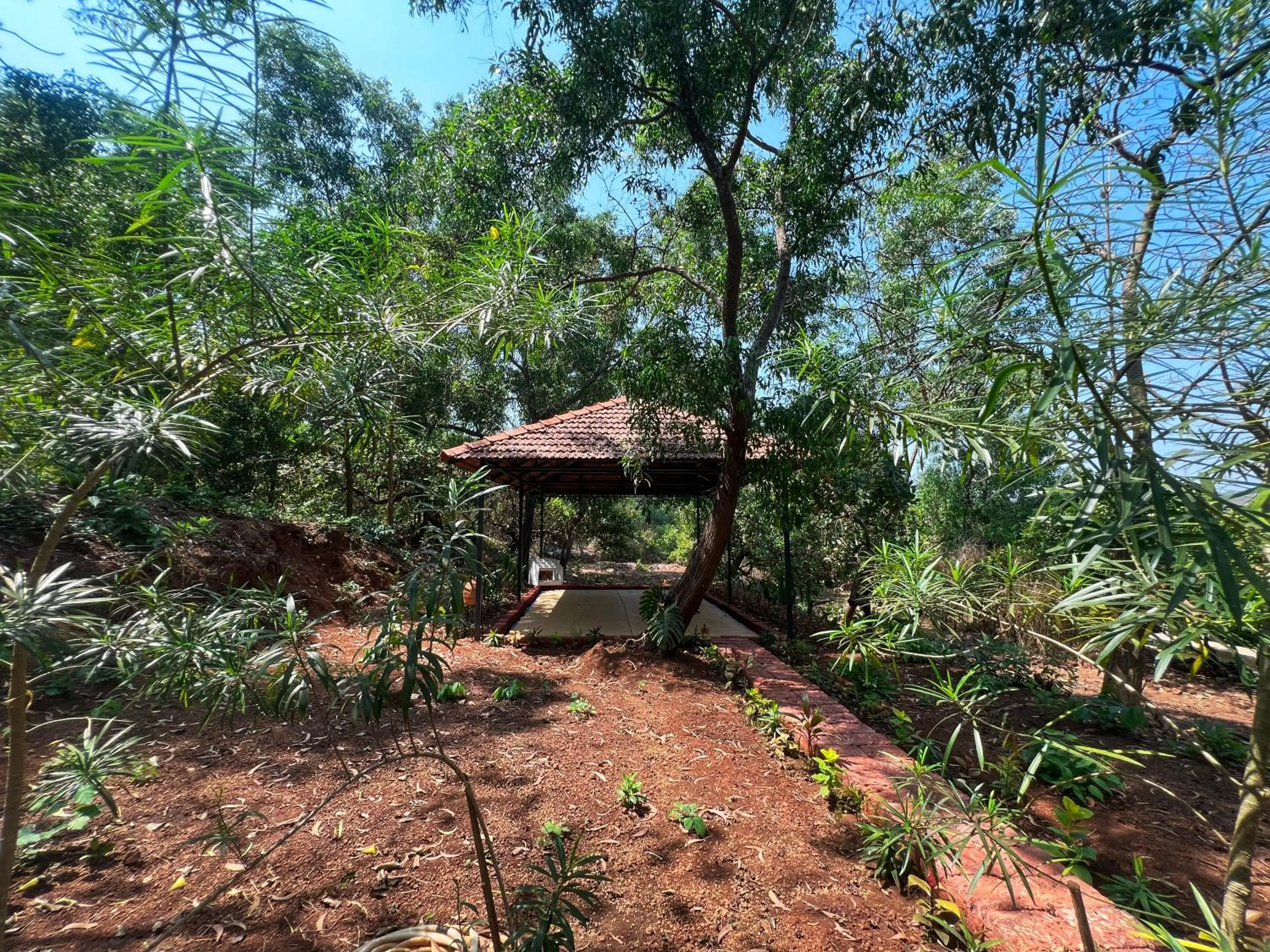 Garden view in Habitus Resort