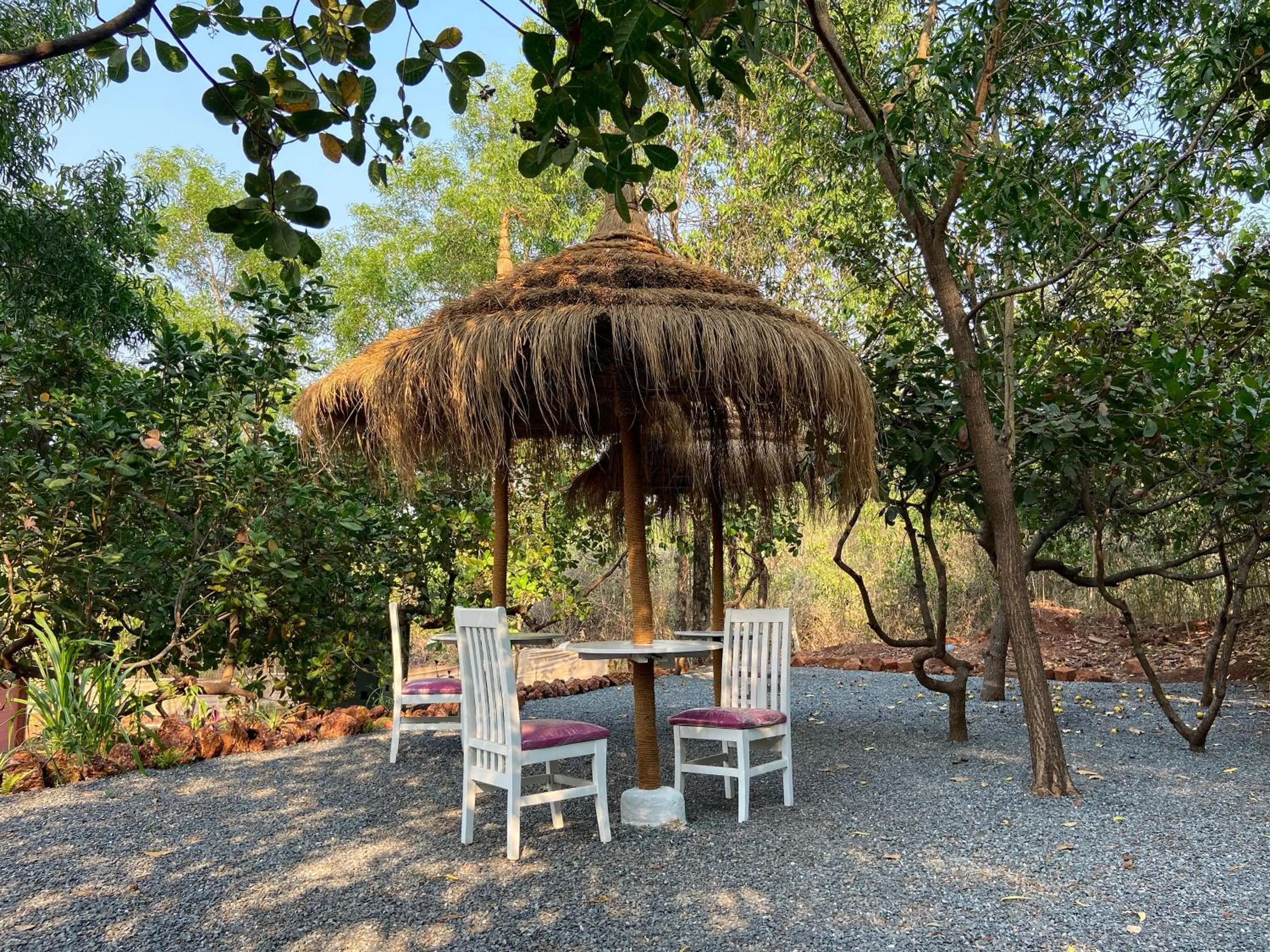 Dining area in Habitus Resort